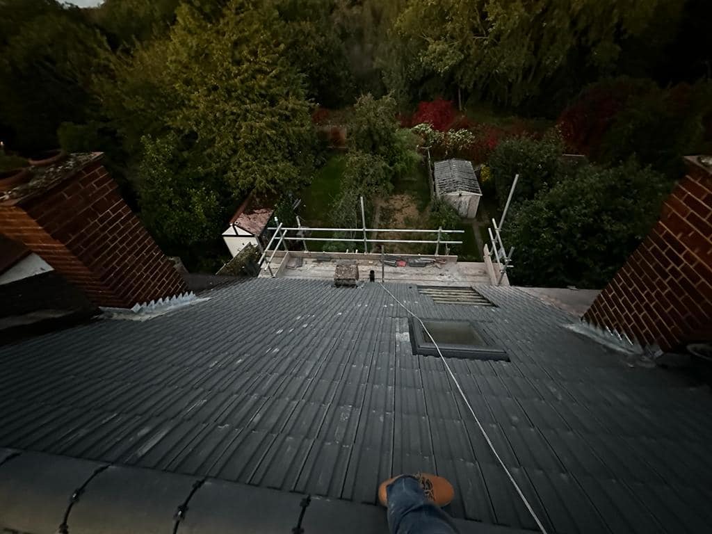 Moss removal in Wimbledon