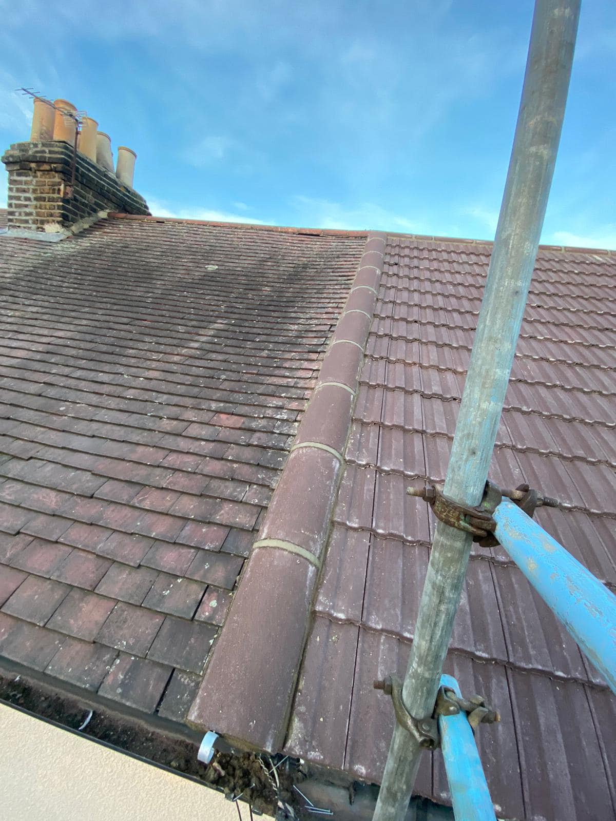 Moss removal in Wimbledon