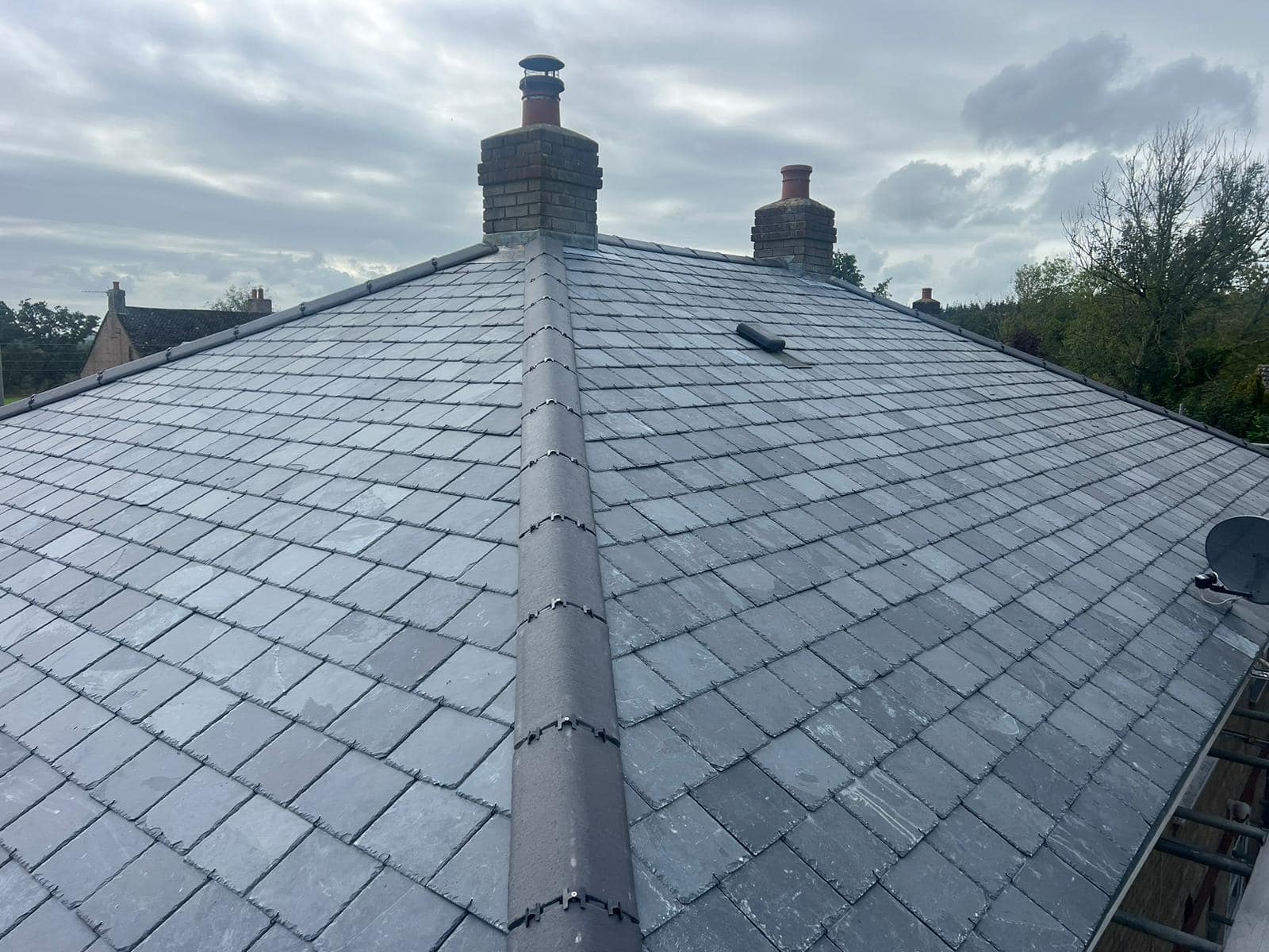 Storm damage repair in Battersea
