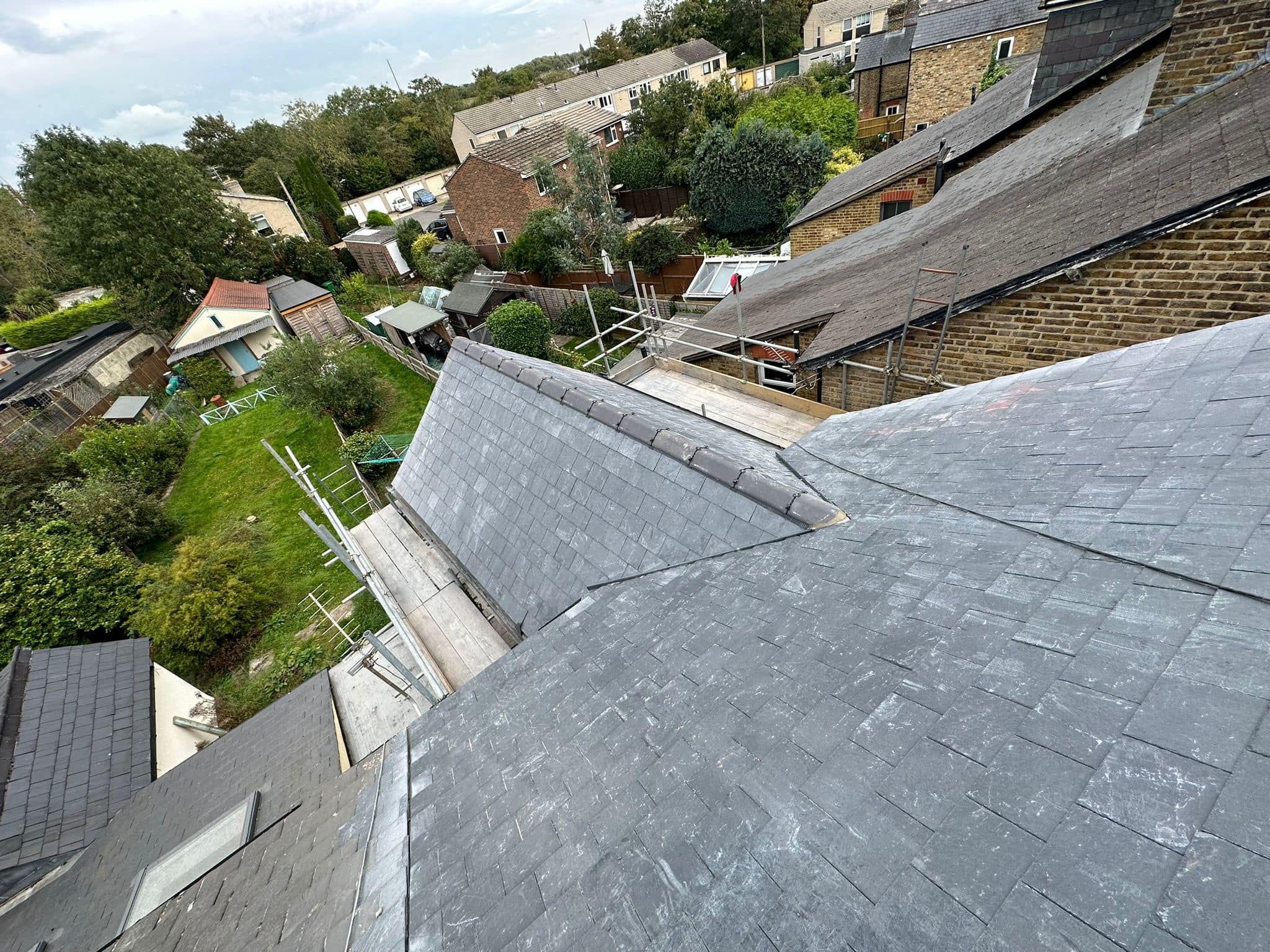 Moss removal in Wimbledon