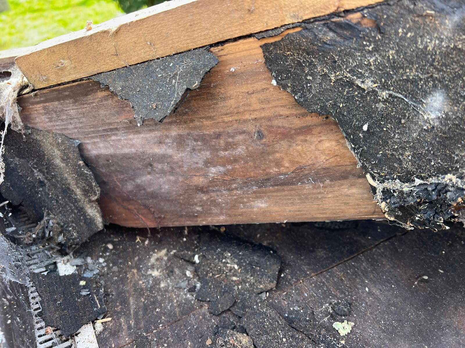 GRP fibreglass roof in Peckham