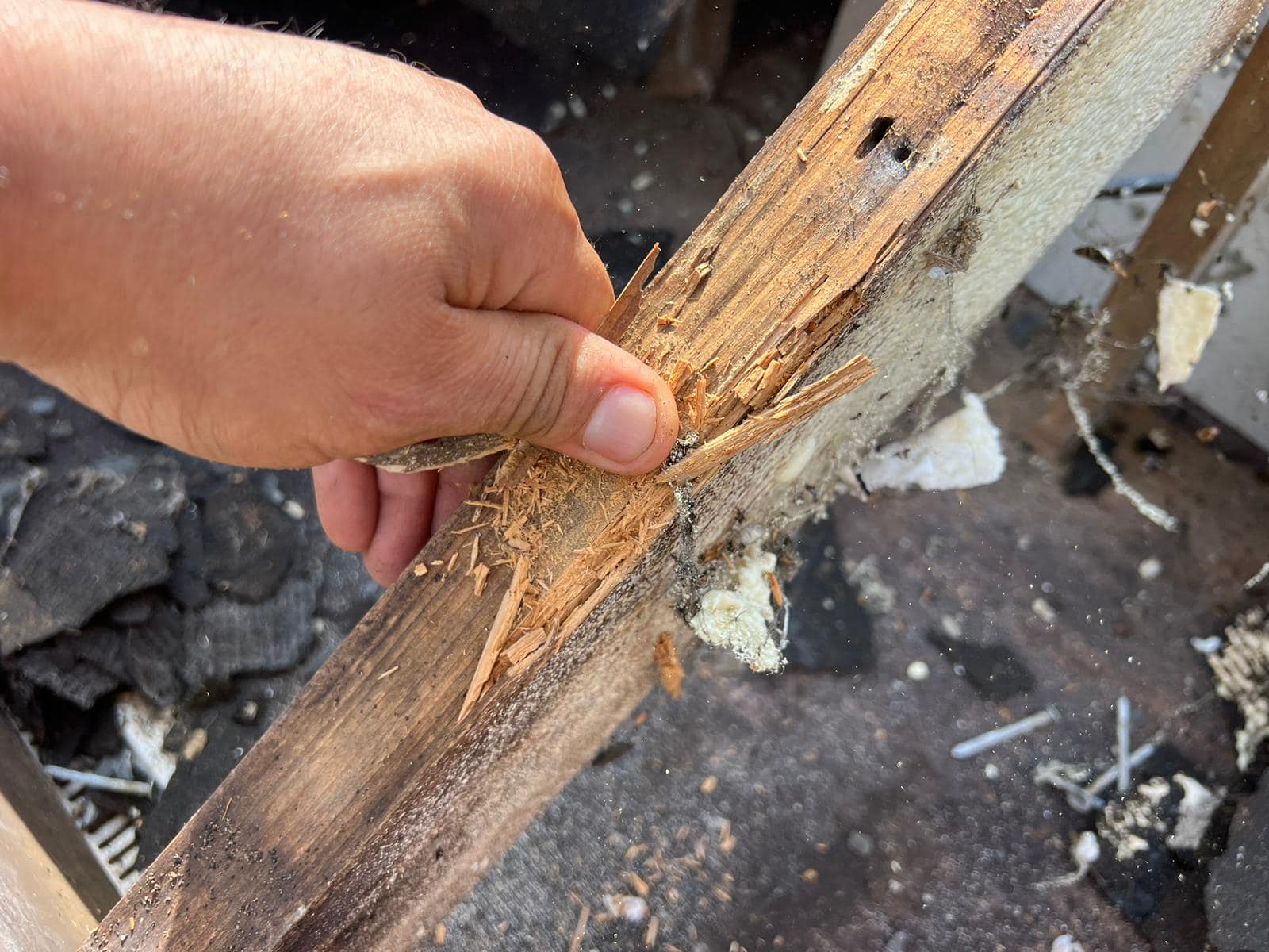 Moss removal in Wimbledon