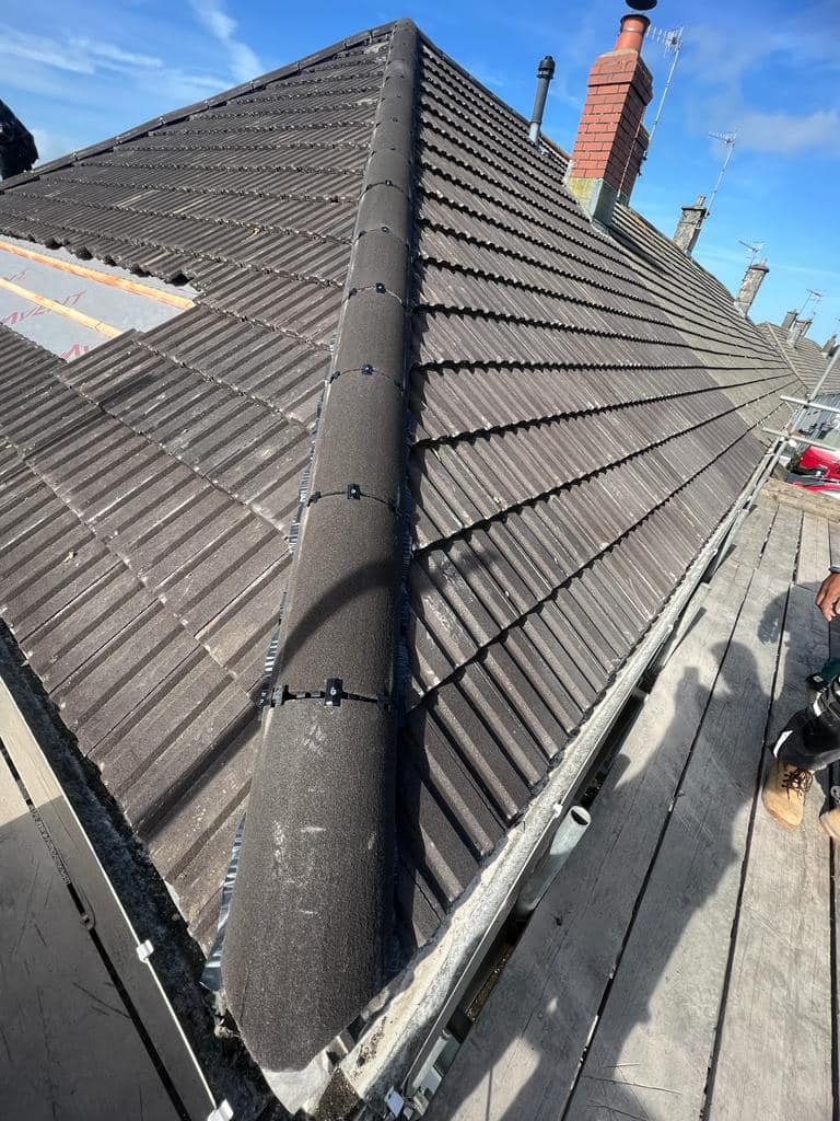 Moss removal in Wimbledon