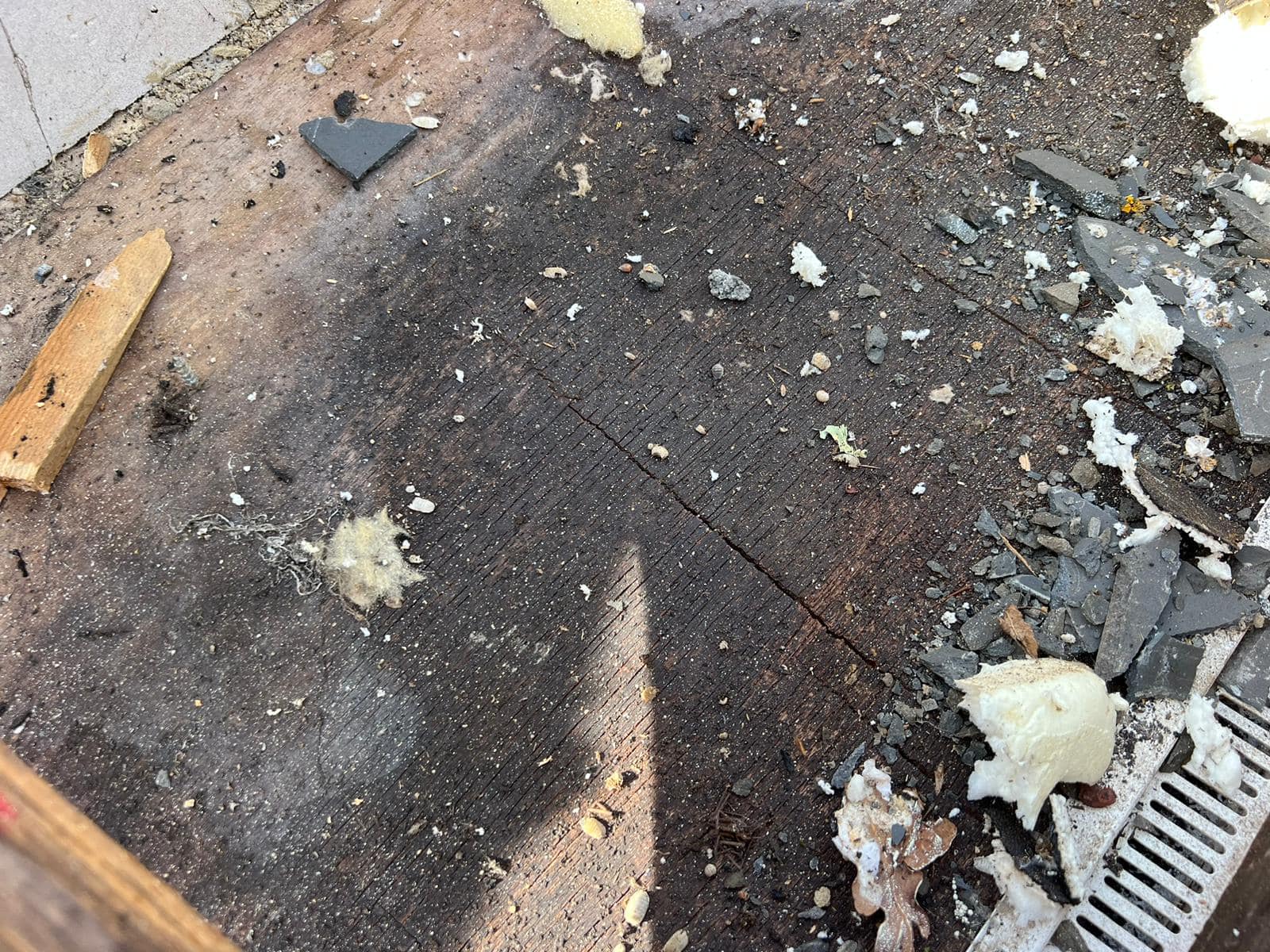 Storm damage repair in Battersea