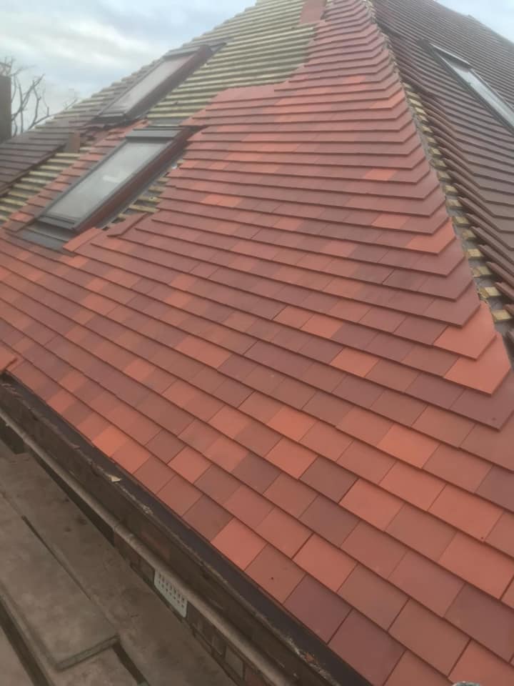 Moss removal in Wimbledon