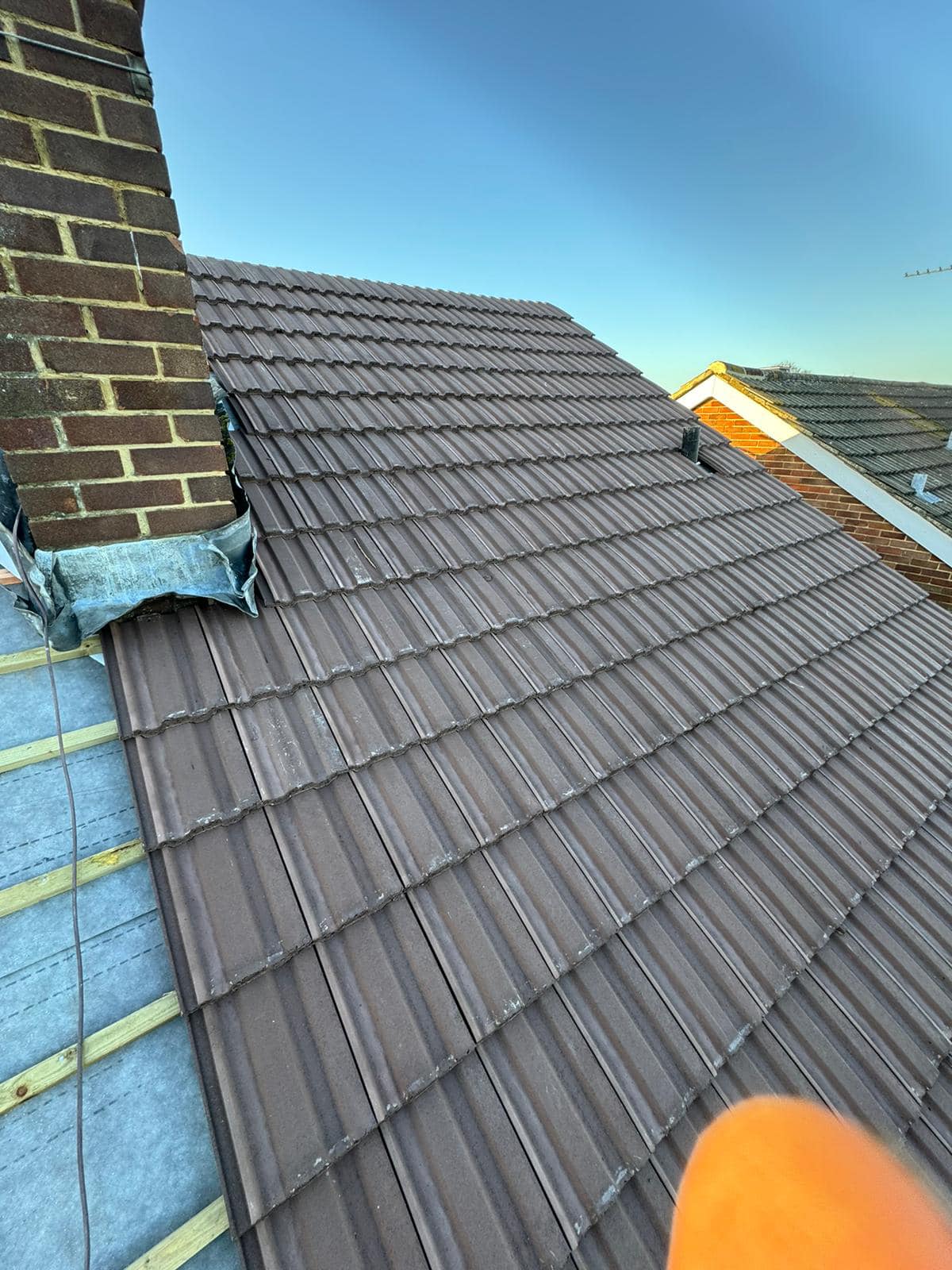 Moss removal in Wimbledon