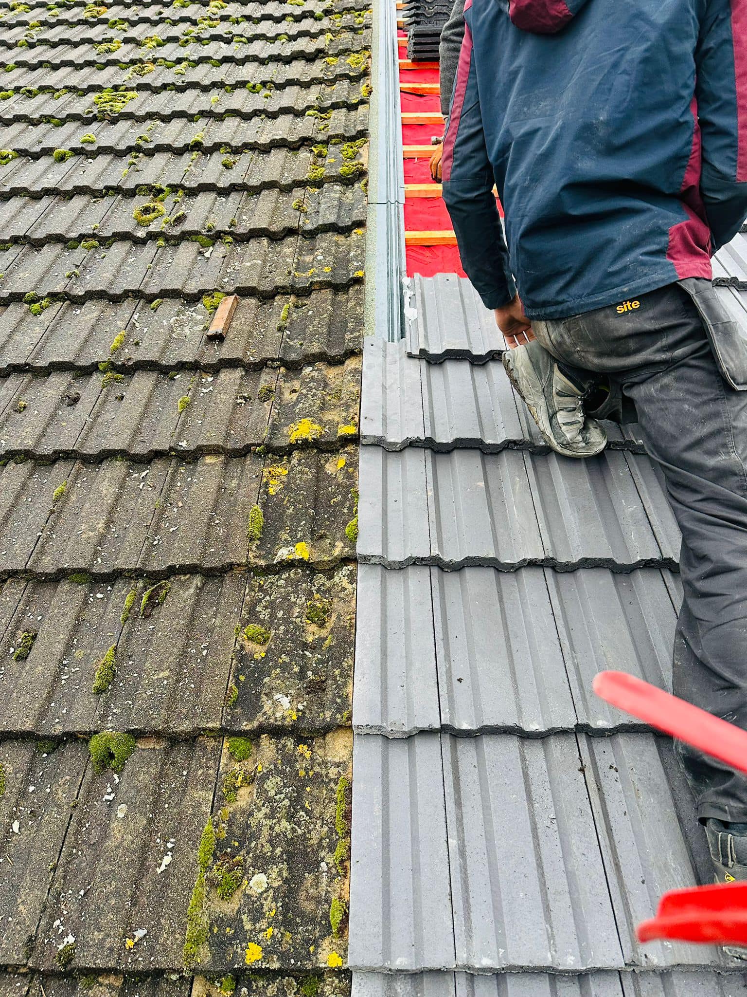 Roof survey in Kensington