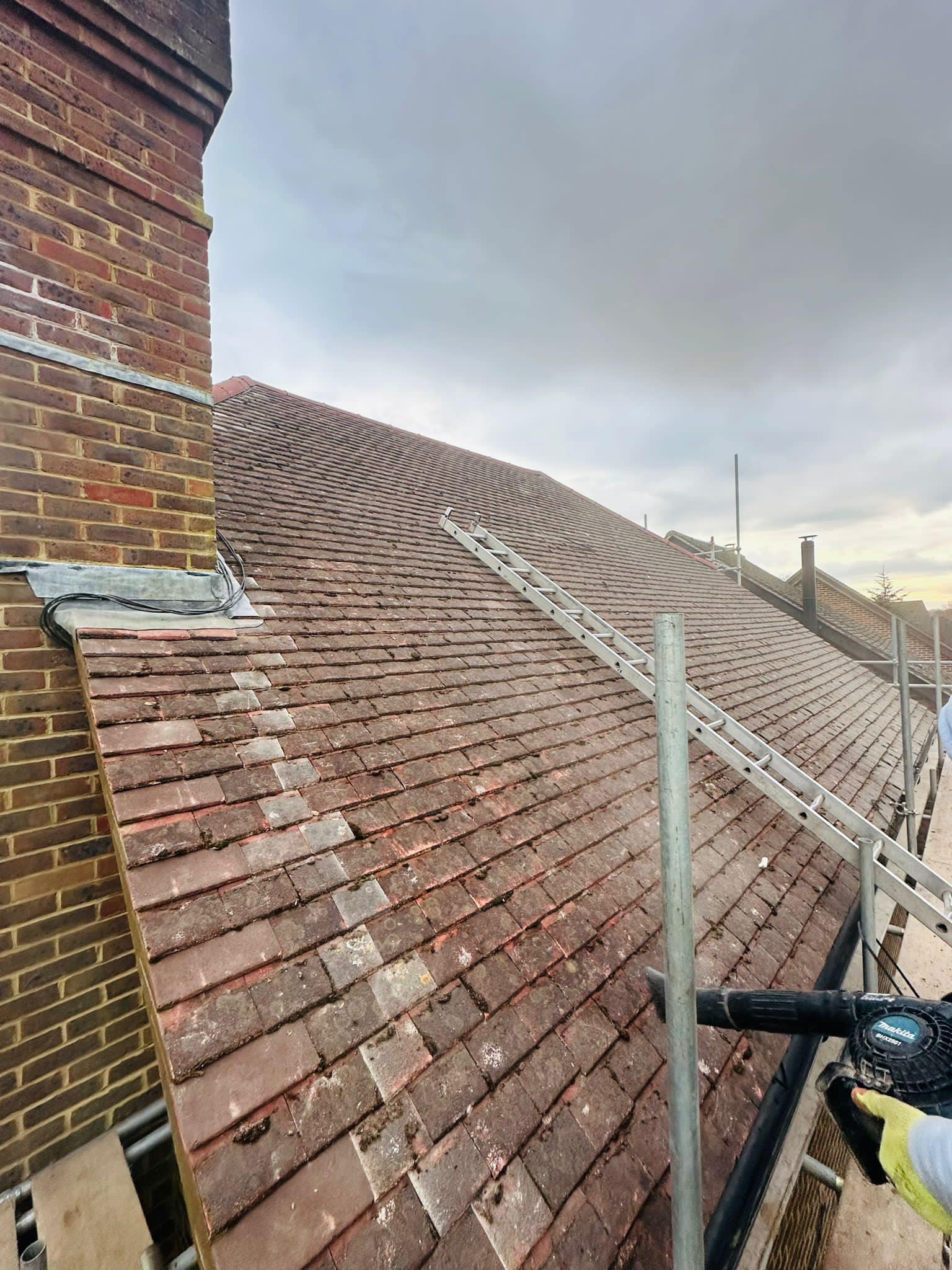 Moss removal in Wimbledon