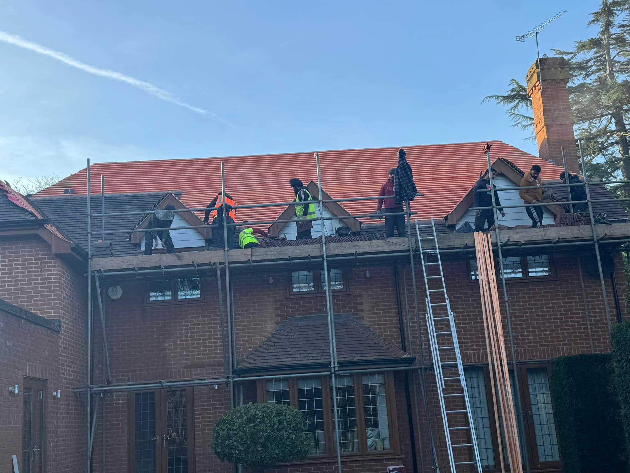 Moss removal in Wimbledon