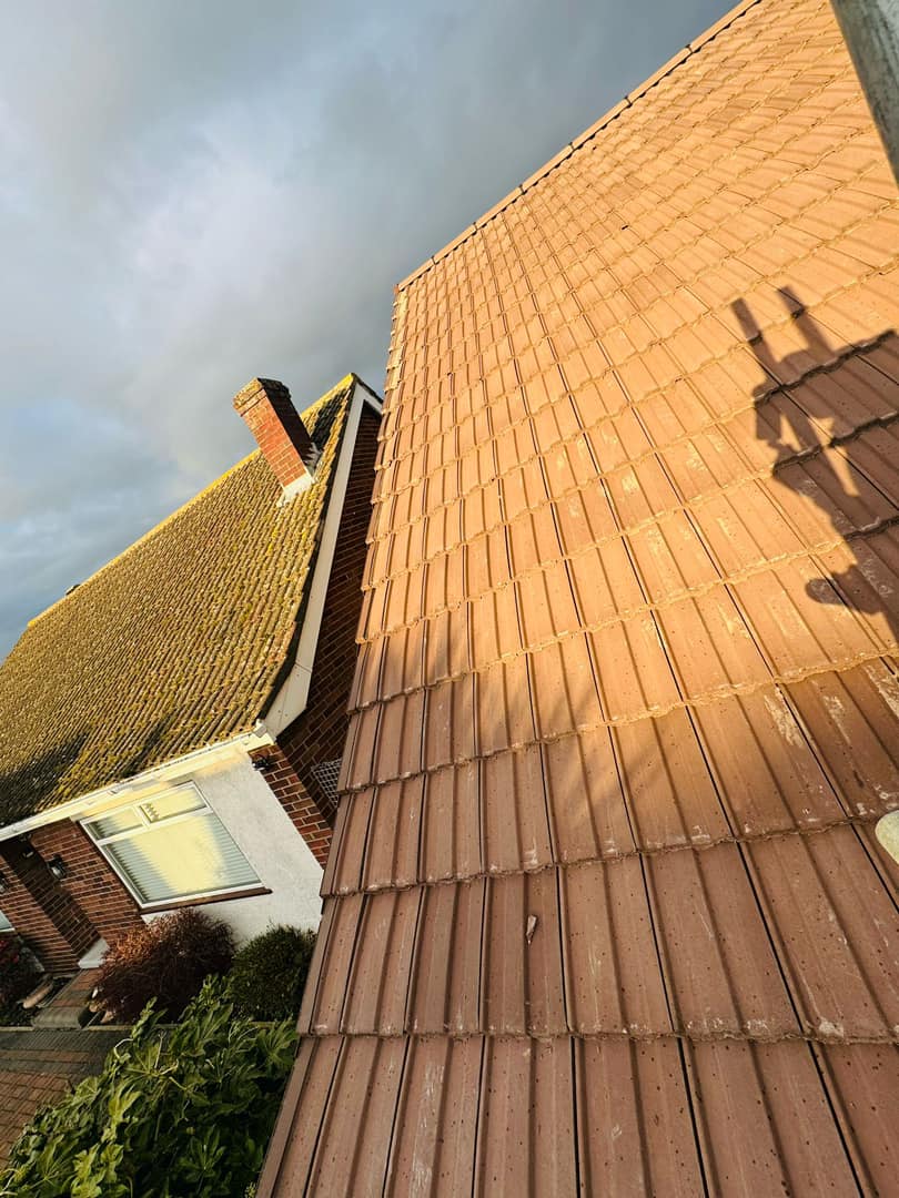 Roof waterproofing in Clapham