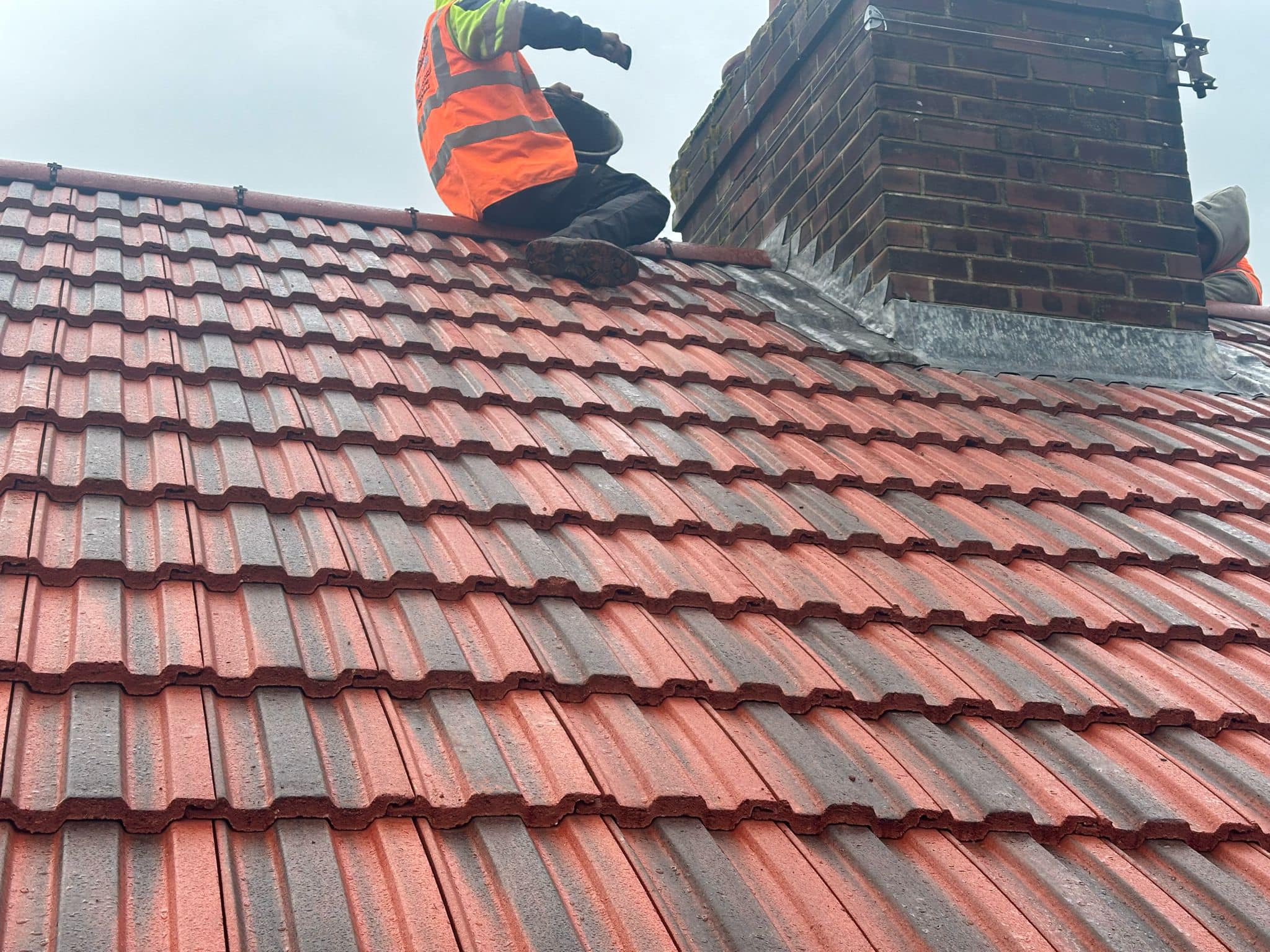 Moss removal in Wimbledon