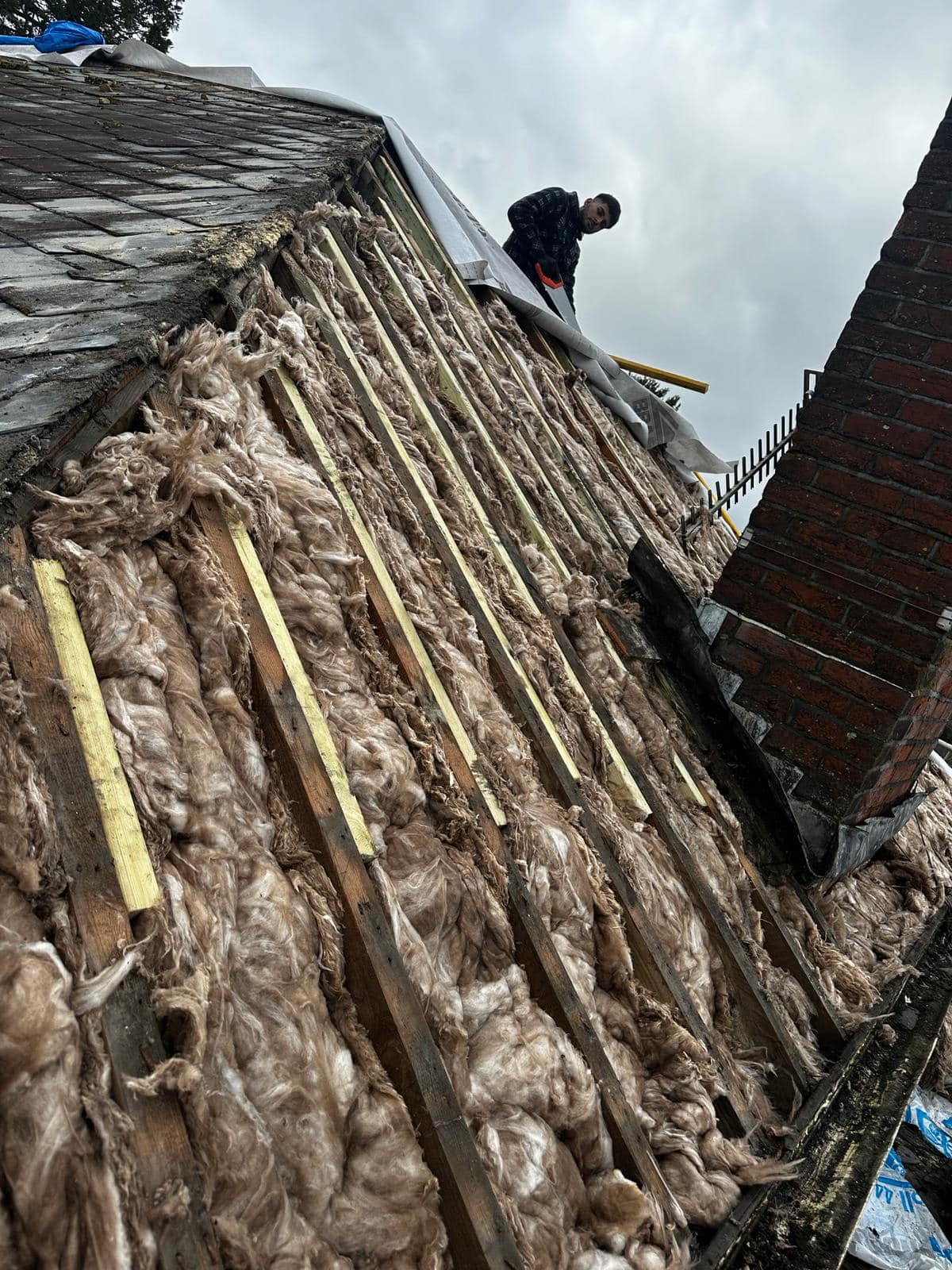 Moss removal in Wimbledon