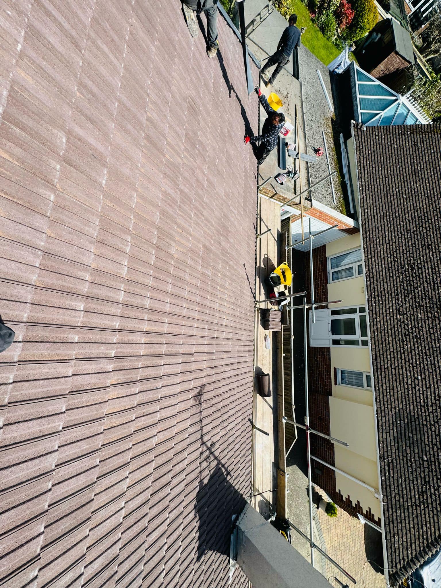 Moss removal in Wimbledon