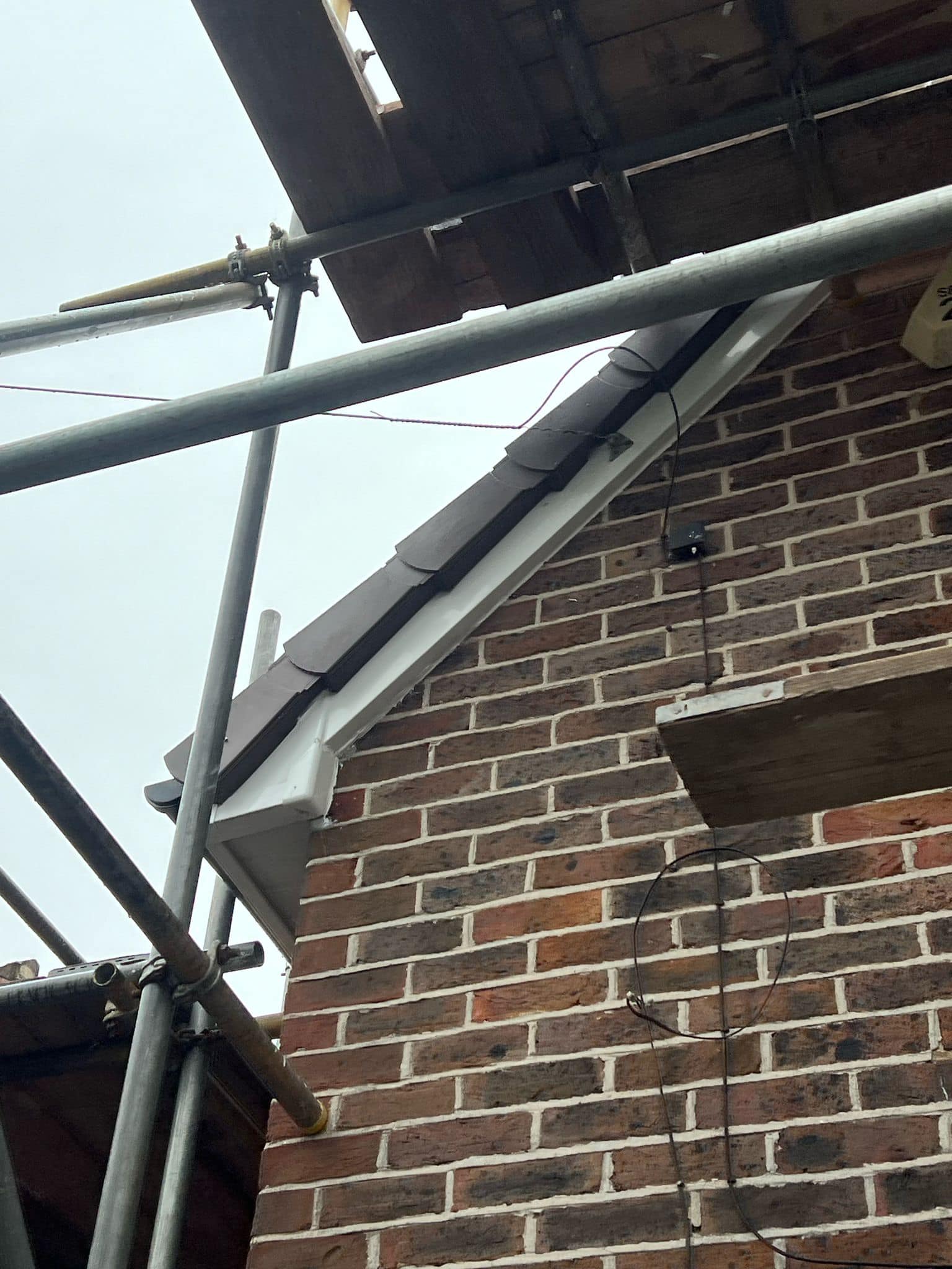 Moss removal in Wimbledon