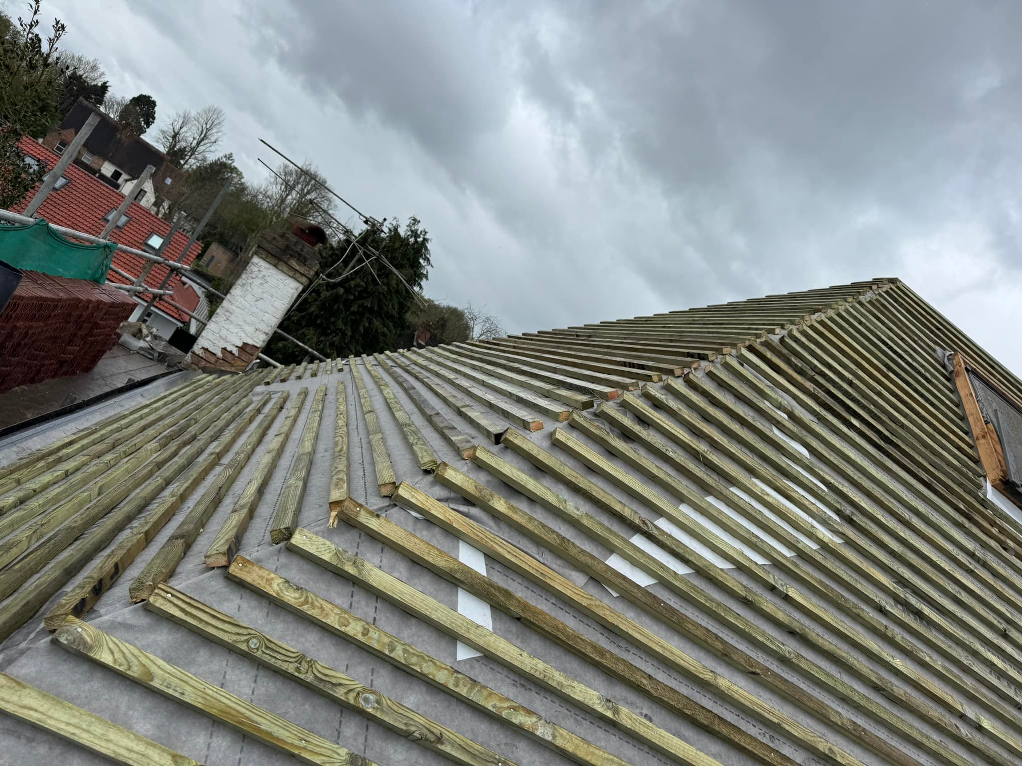Moss removal in Wimbledon