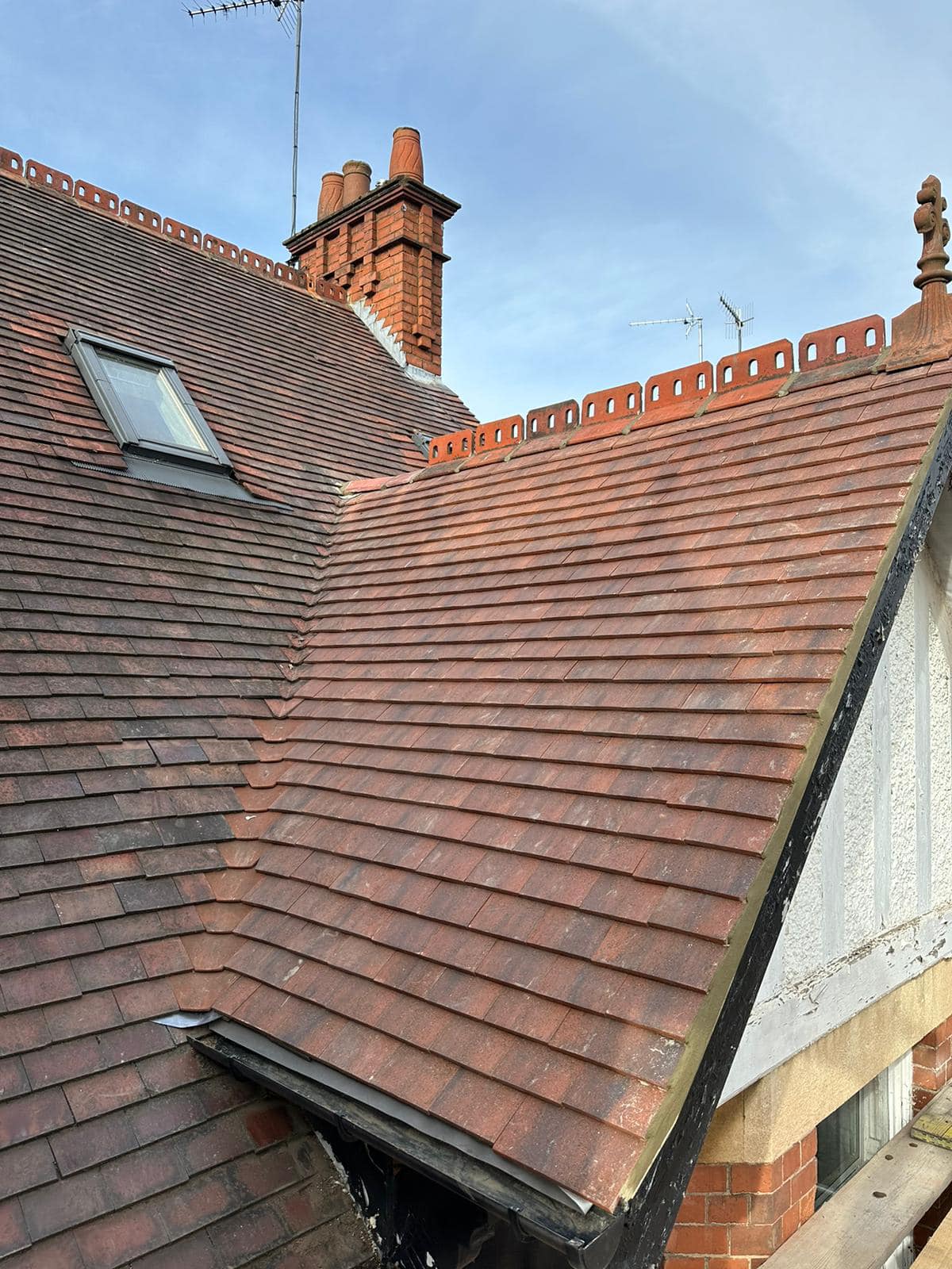 Moss removal in Wimbledon
