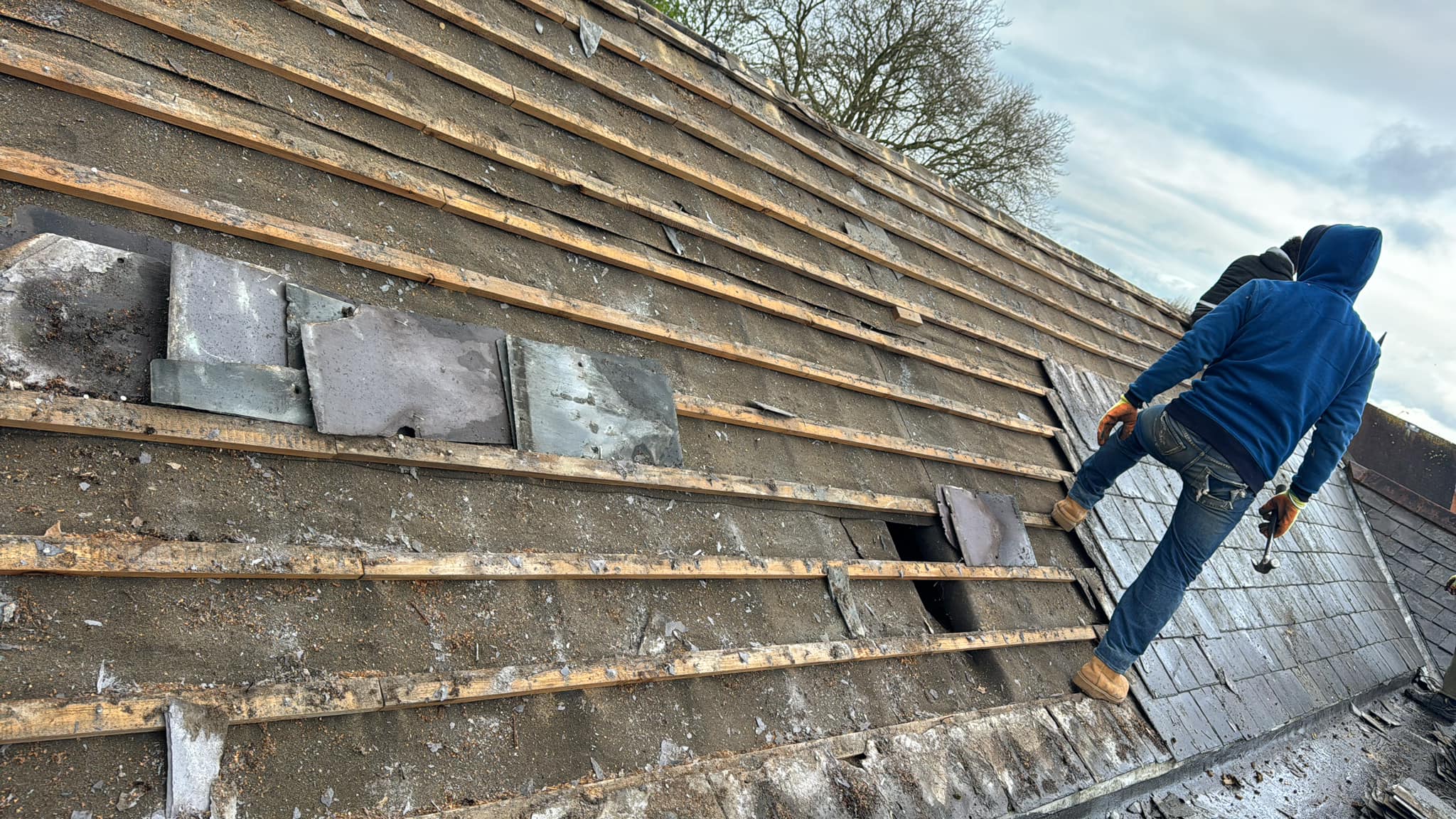 Moss removal in Wimbledon