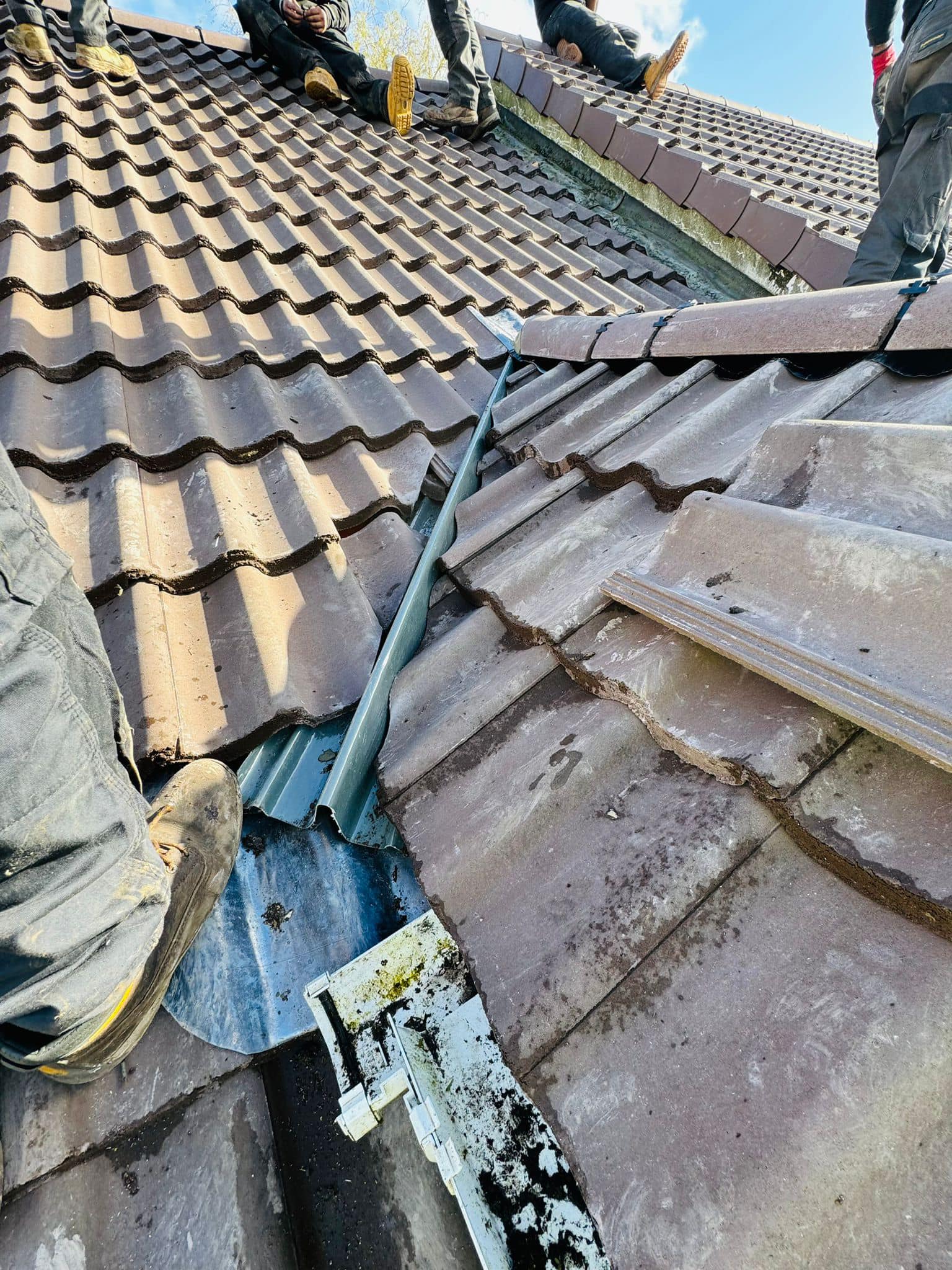 Roof survey in Kensington
