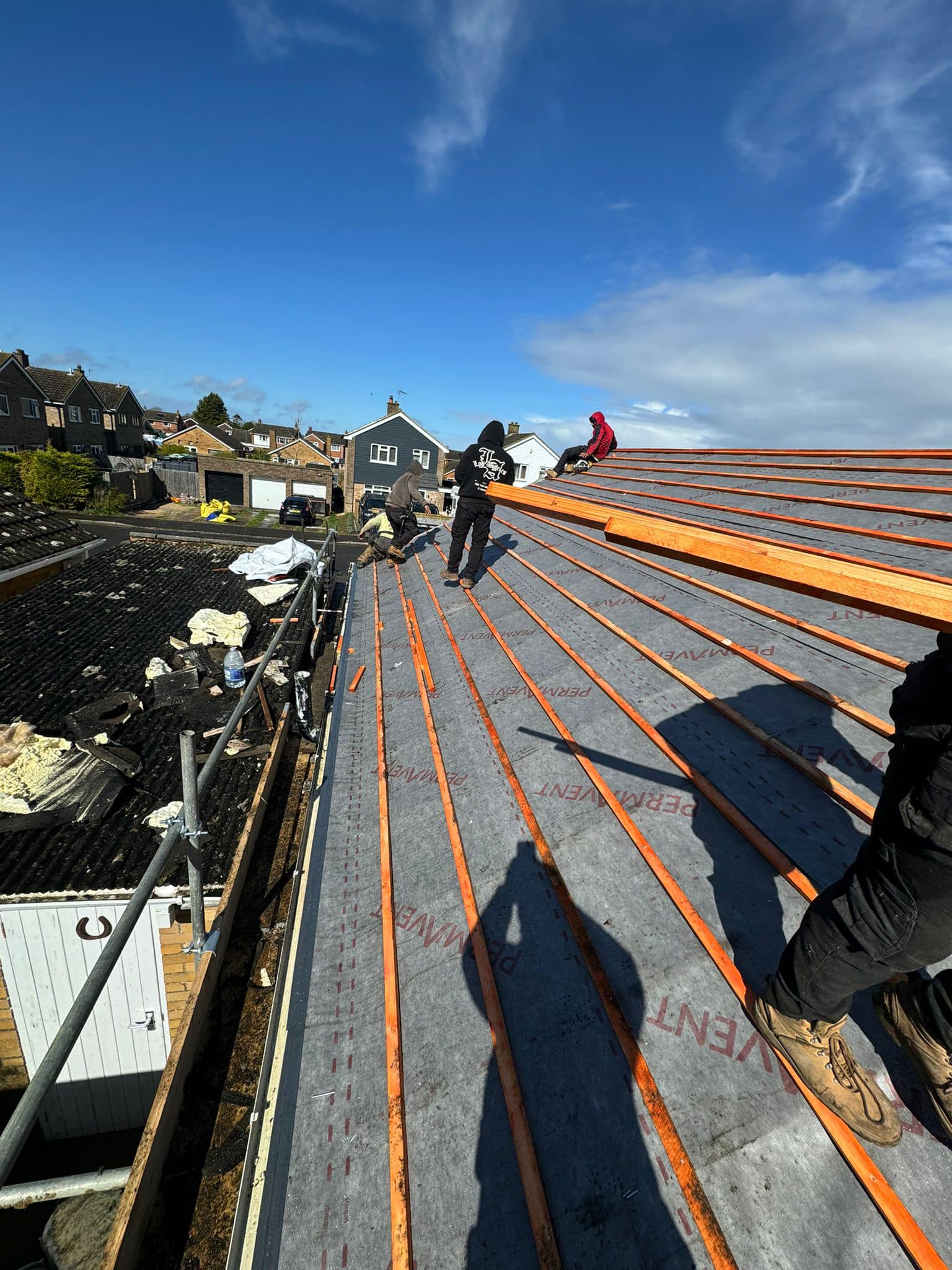 Moss removal in Wimbledon