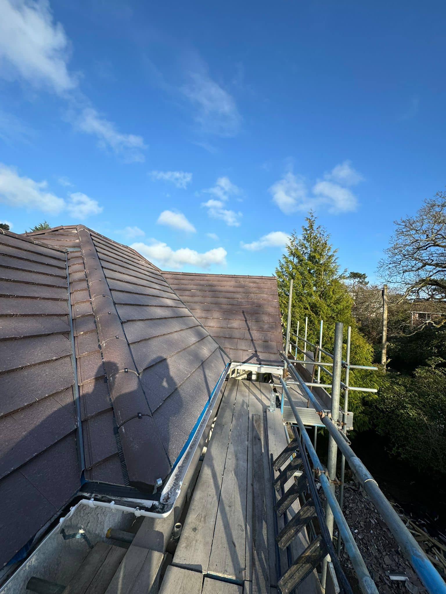 Roof survey in Kensington