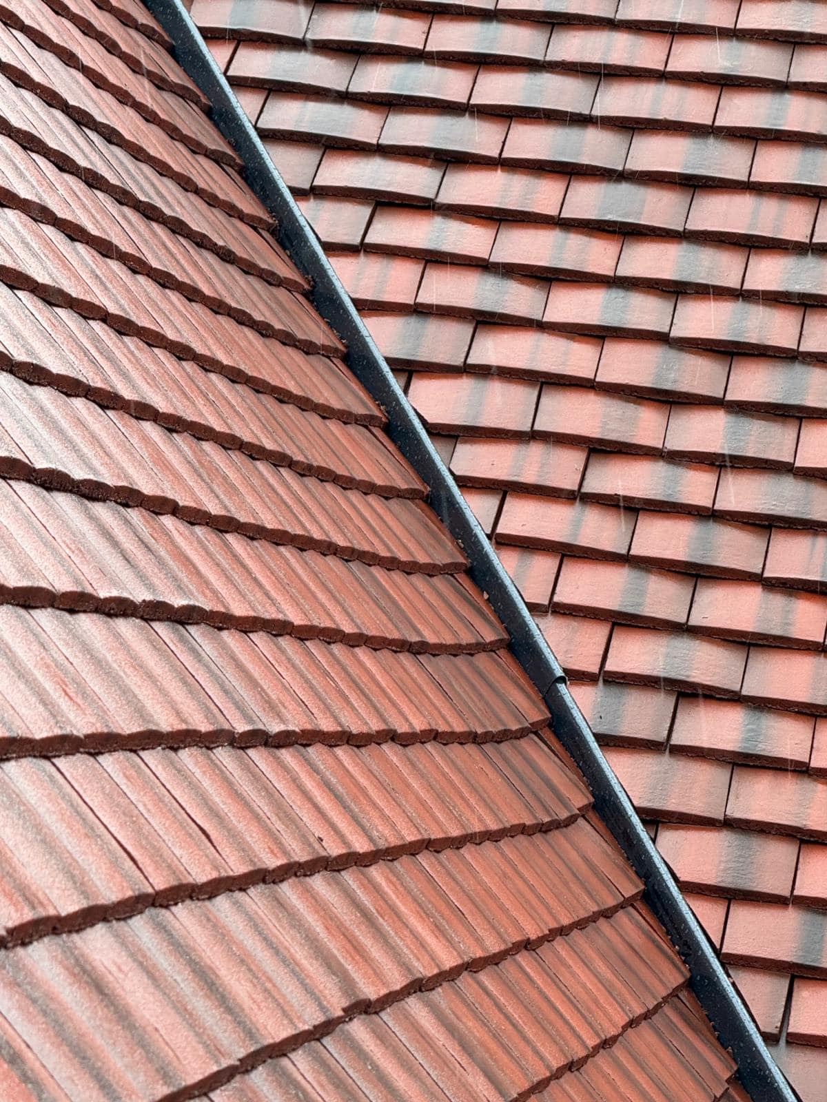 Roof survey in Kensington
