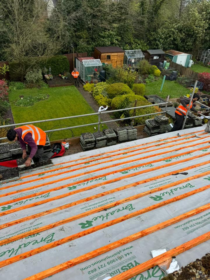 Roof survey in Kensington