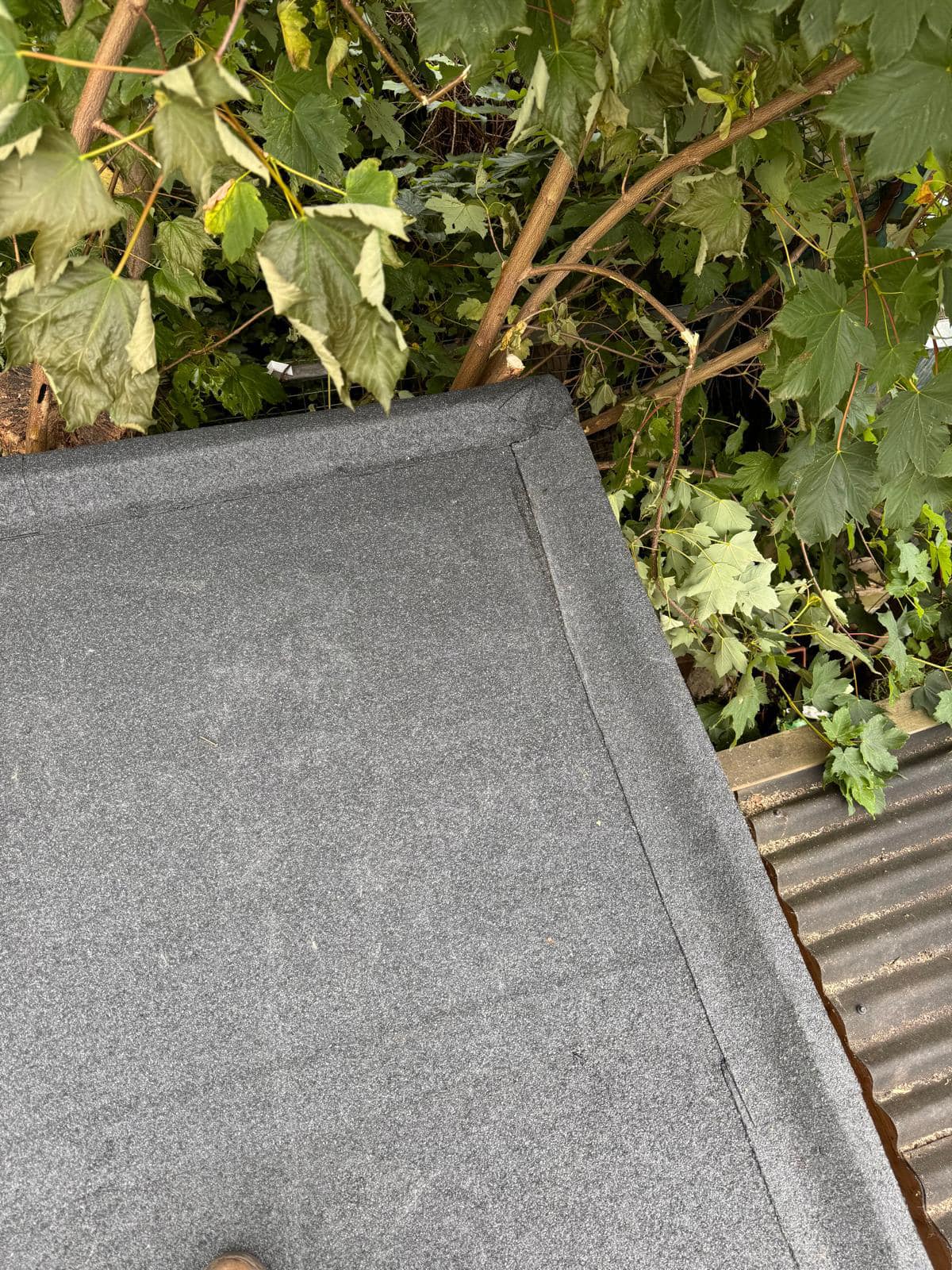 Roof waterproofing in Clapham