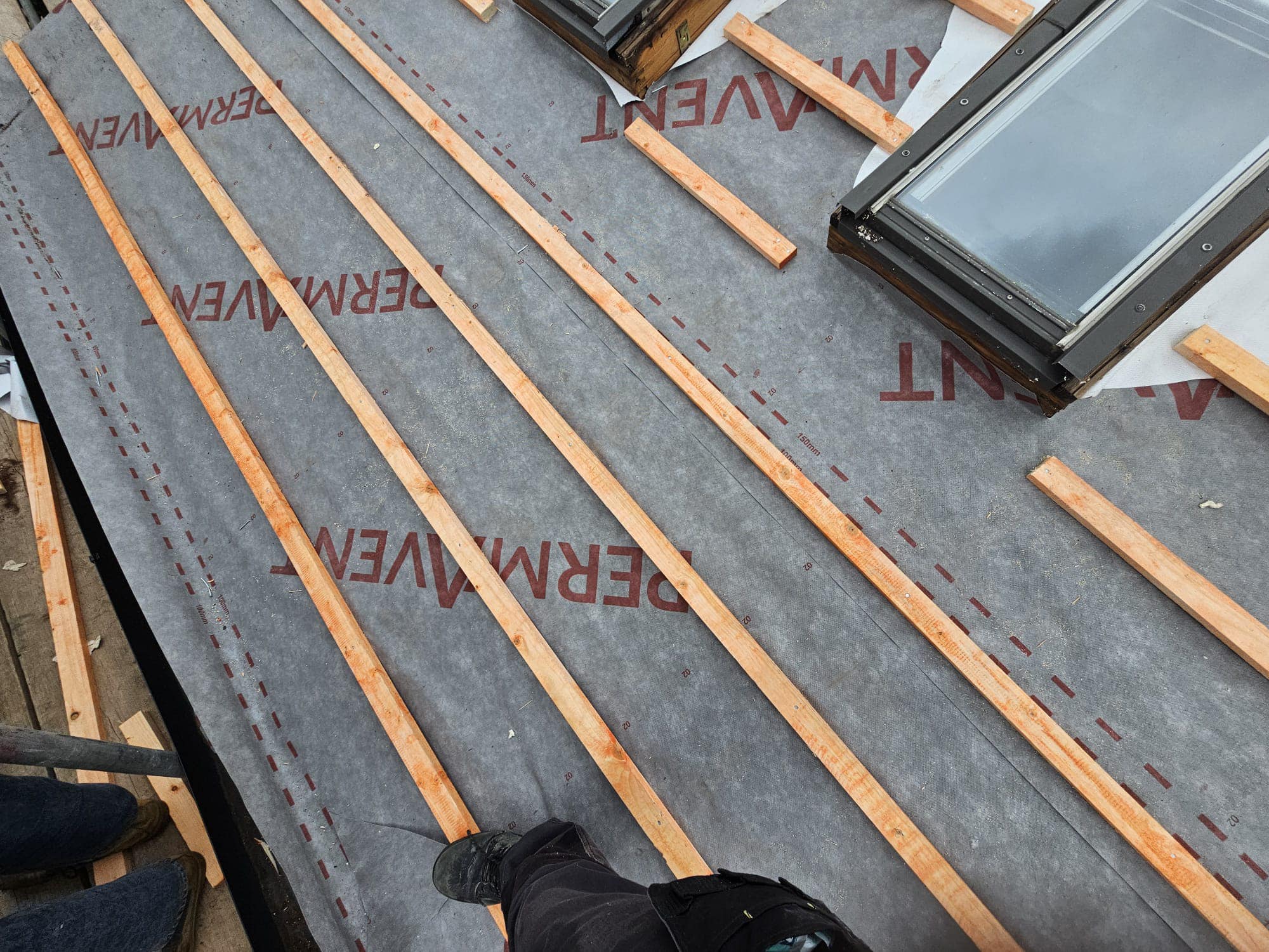 Roof survey in Kensington