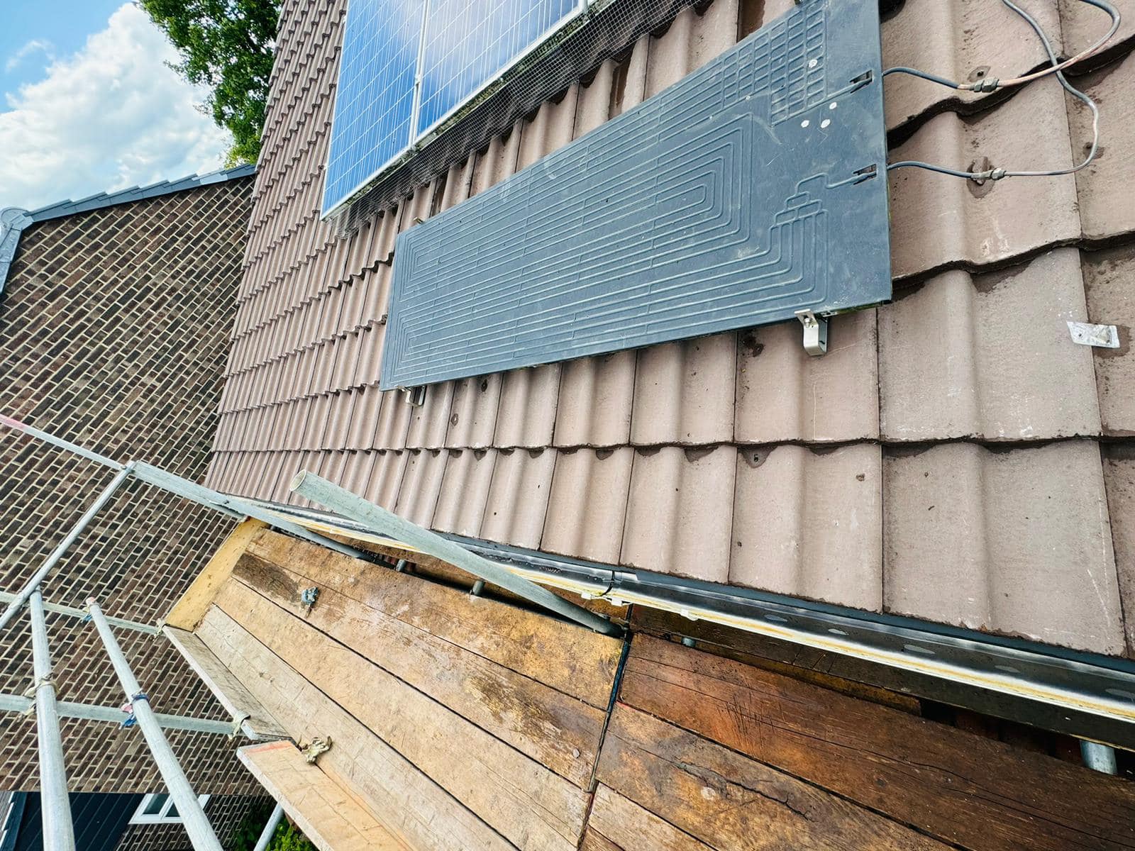 Moss removal in Wimbledon