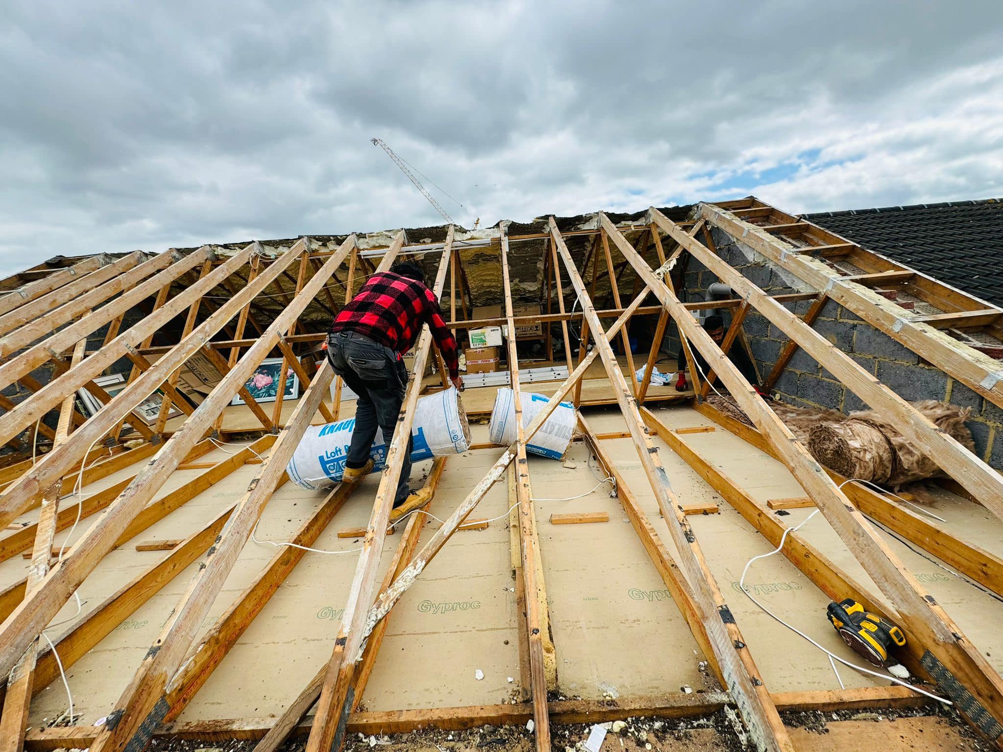 Moss removal in Wimbledon
