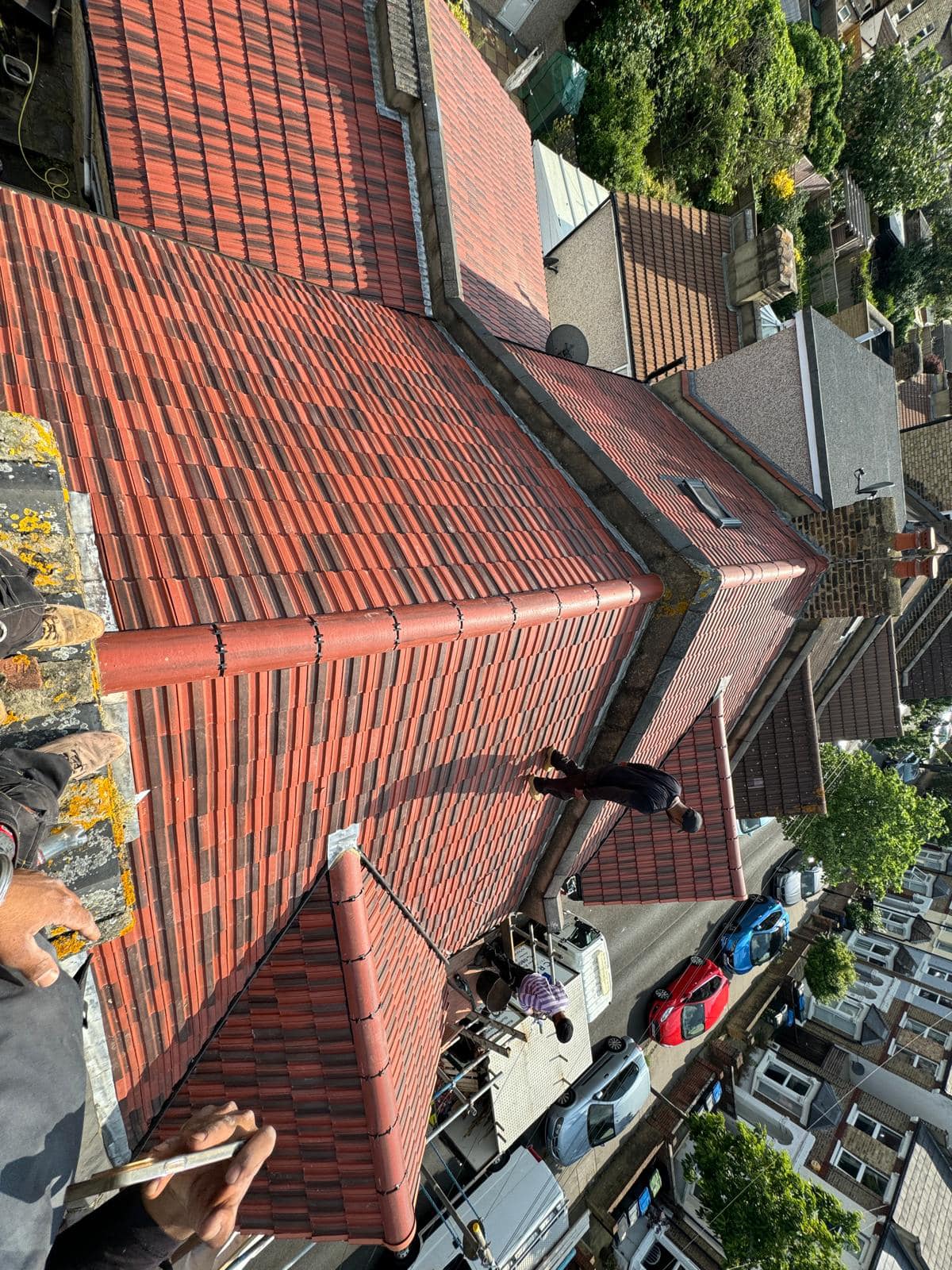 Moss removal in Wimbledon