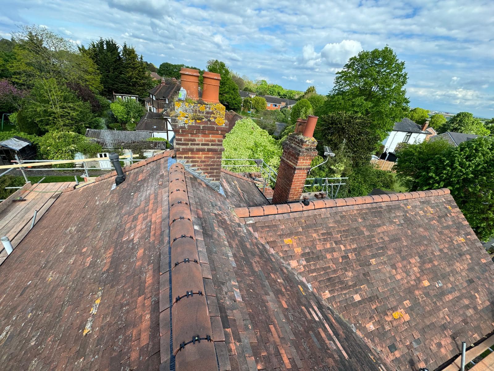 Moss removal in Wimbledon