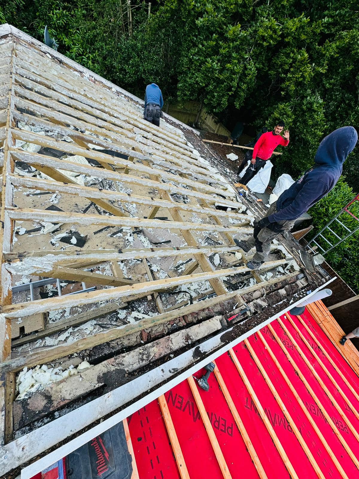 Roof survey in Kensington