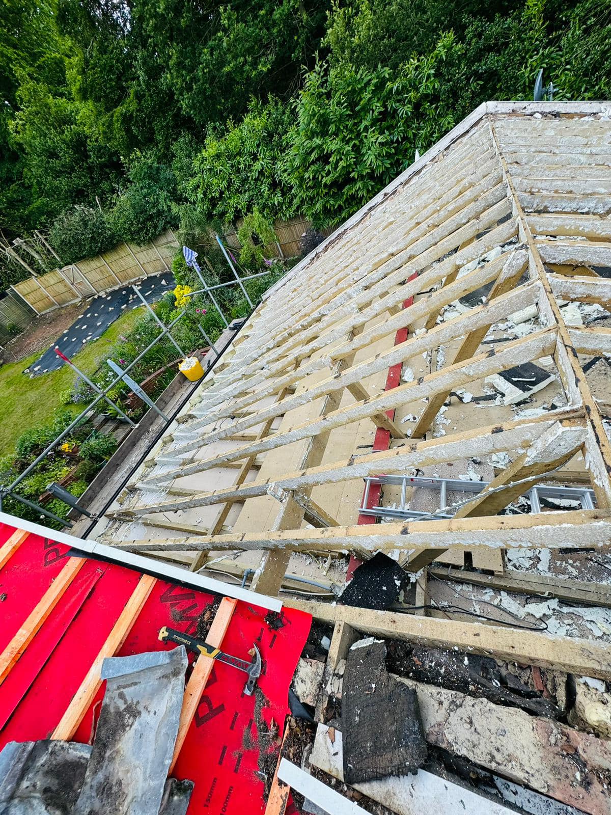 Moss removal in Wimbledon
