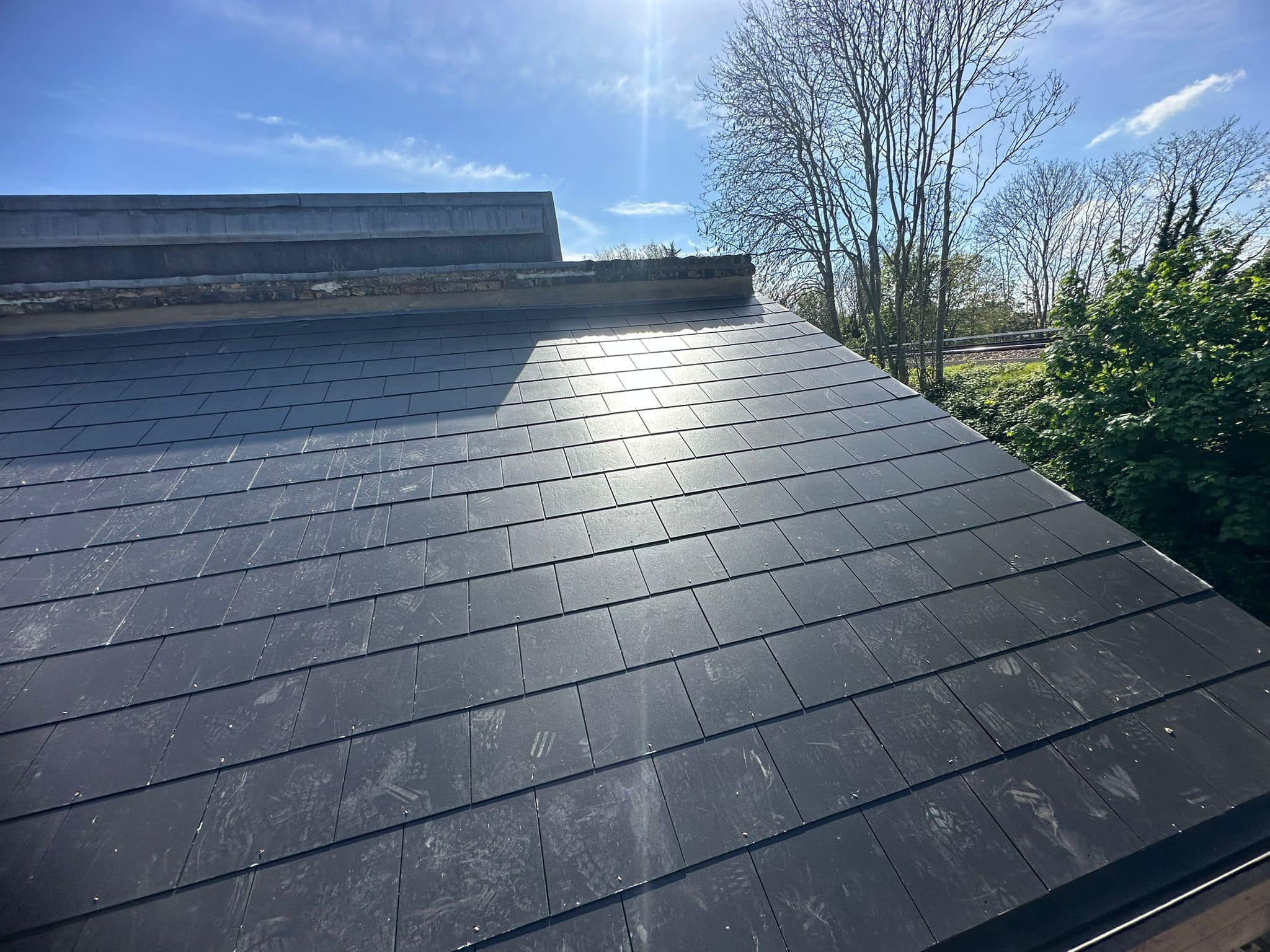 Moss removal in Wimbledon