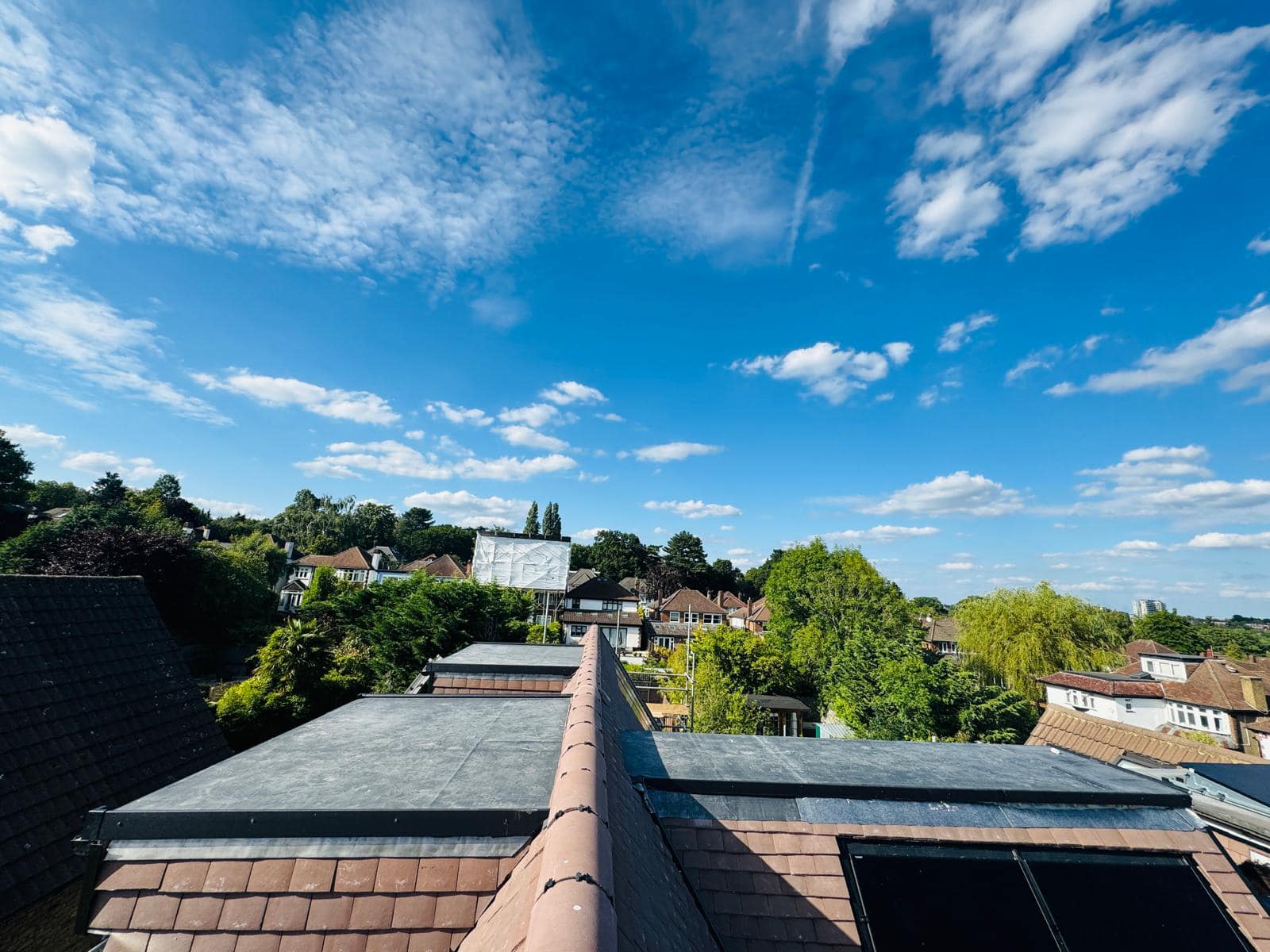Moss removal in Wimbledon
