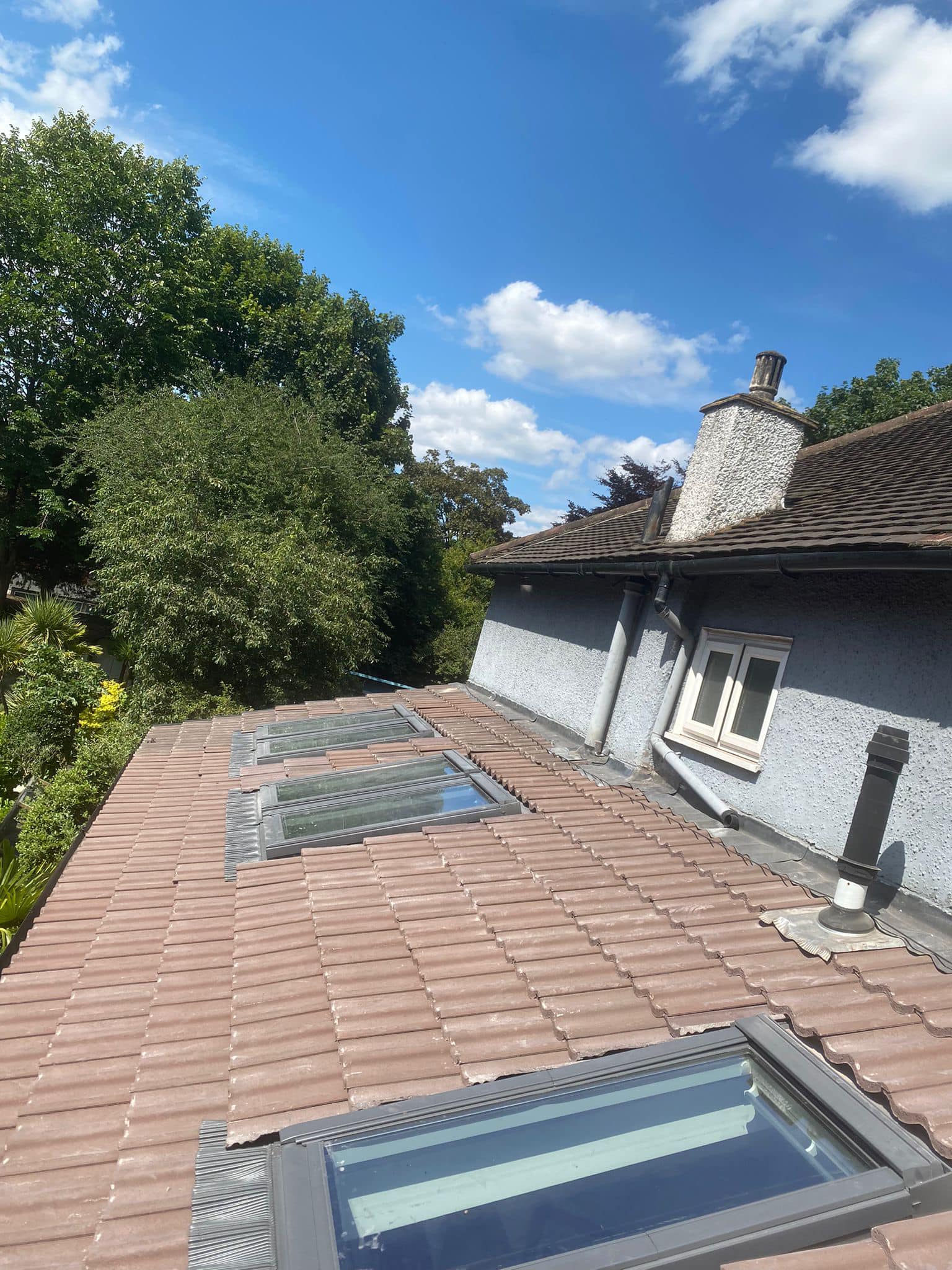 Roof survey in Kensington