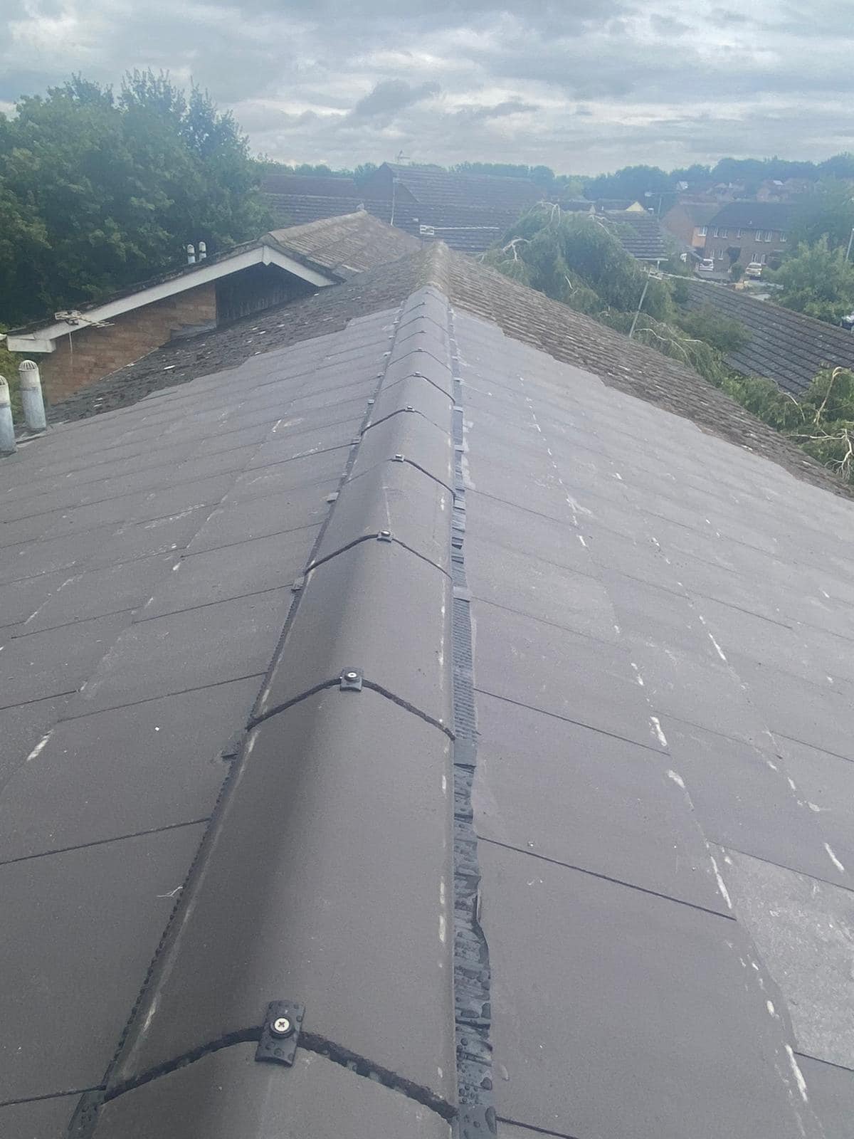 Roof survey in Kensington