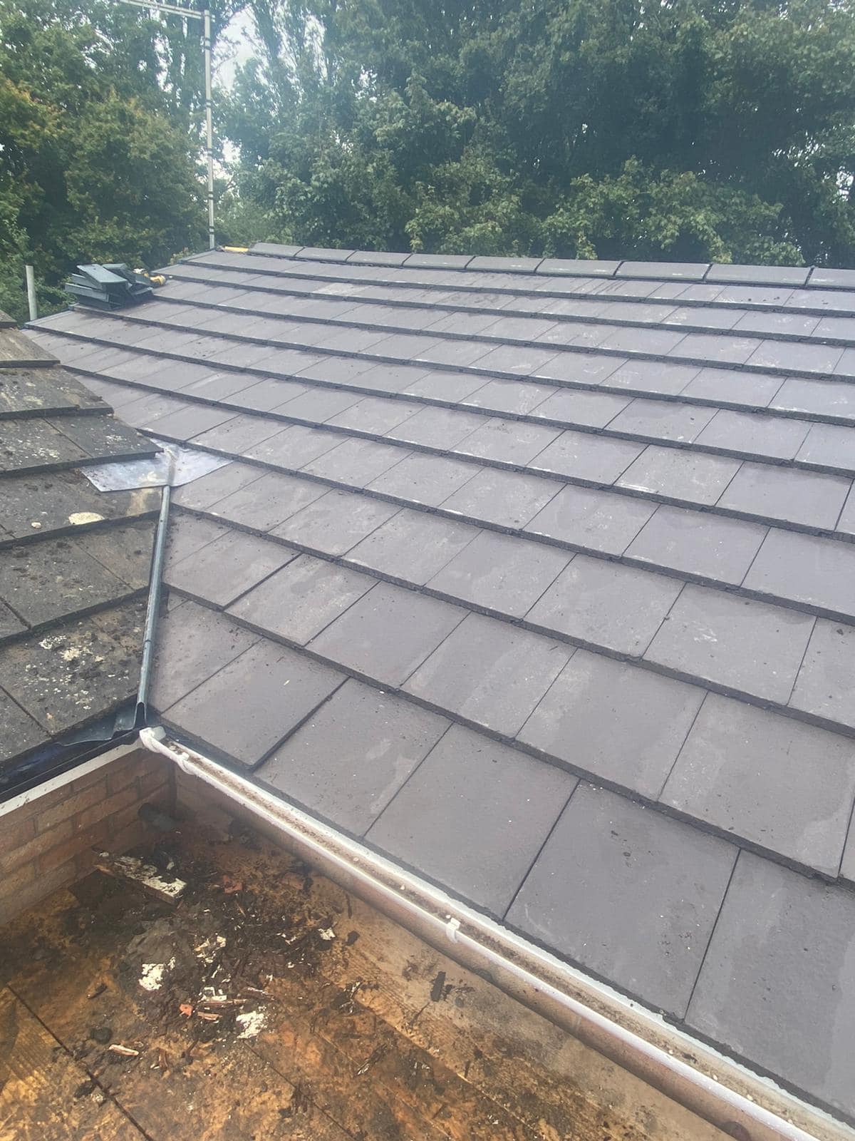 Roof survey in Kensington