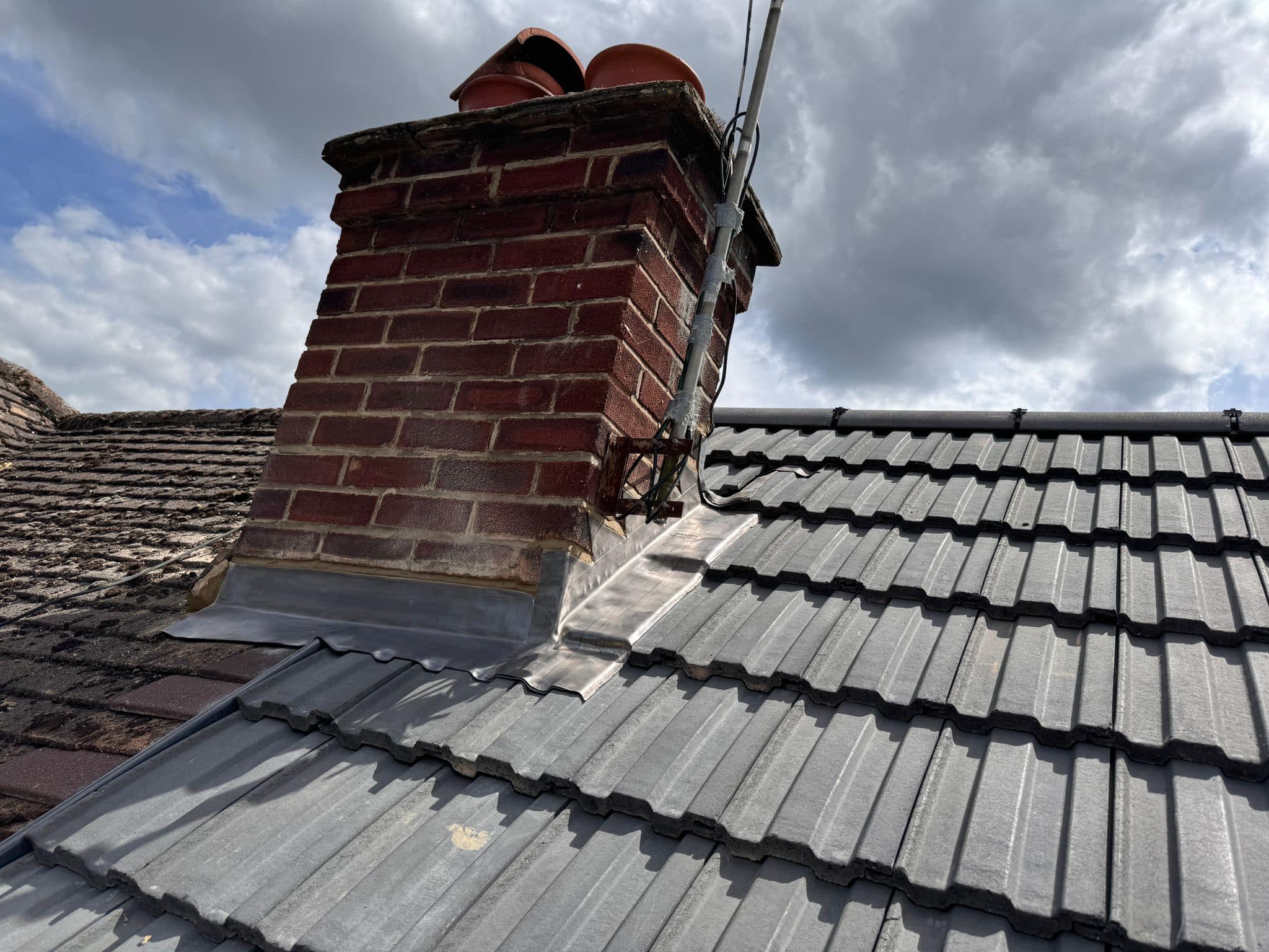 Moss removal in Wimbledon
