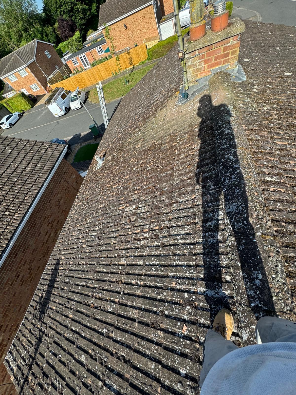 Moss removal in Wimbledon