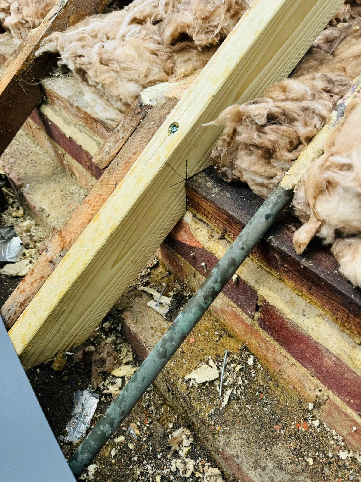 Roof survey in Kensington