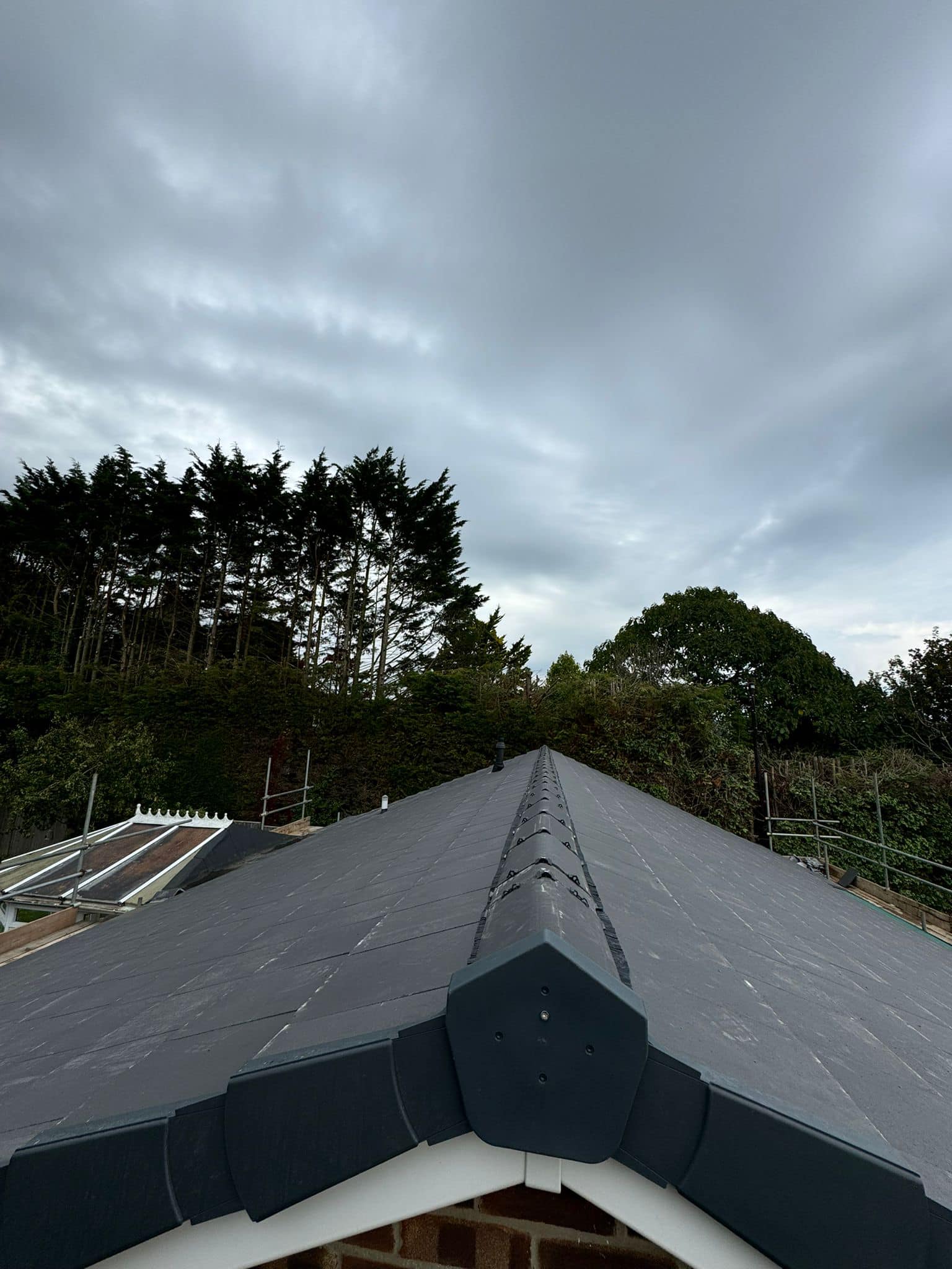 Roof survey in Kensington