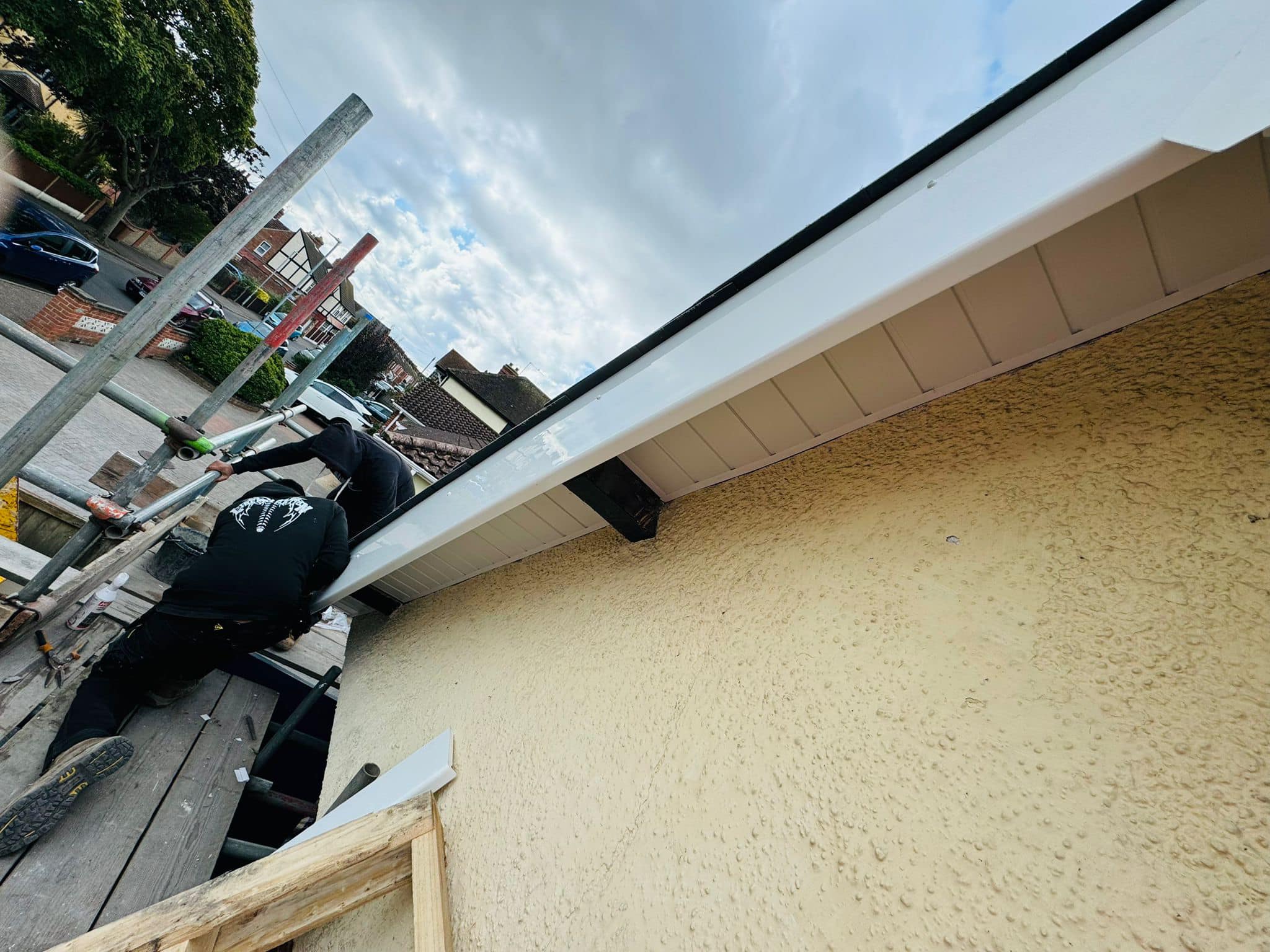 Moss removal in Wimbledon