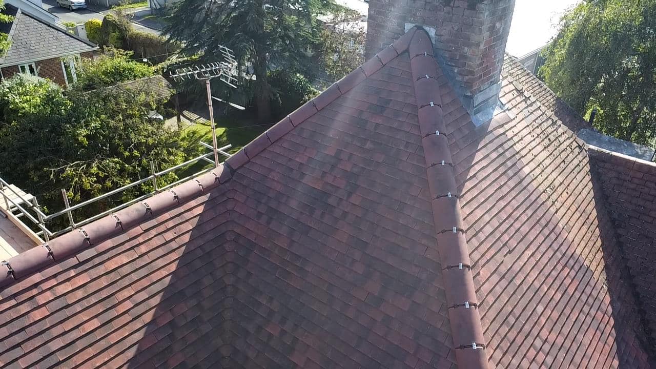 Moss removal in Wimbledon