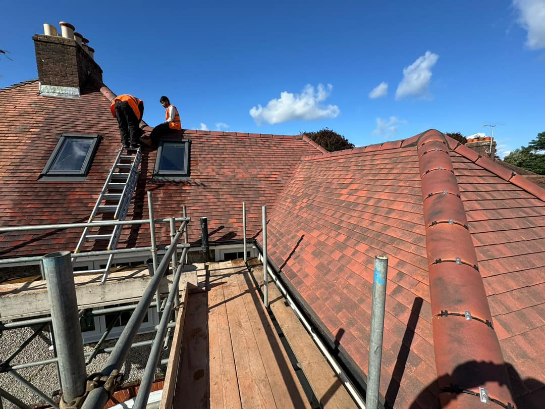 Moss removal in Wimbledon