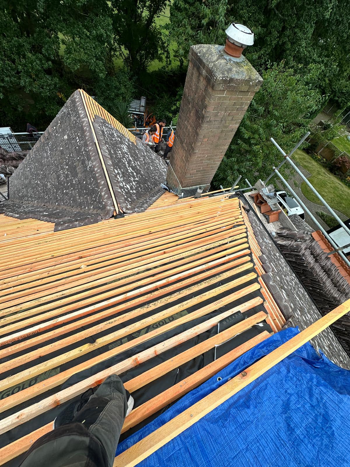 Roof survey in Kensington