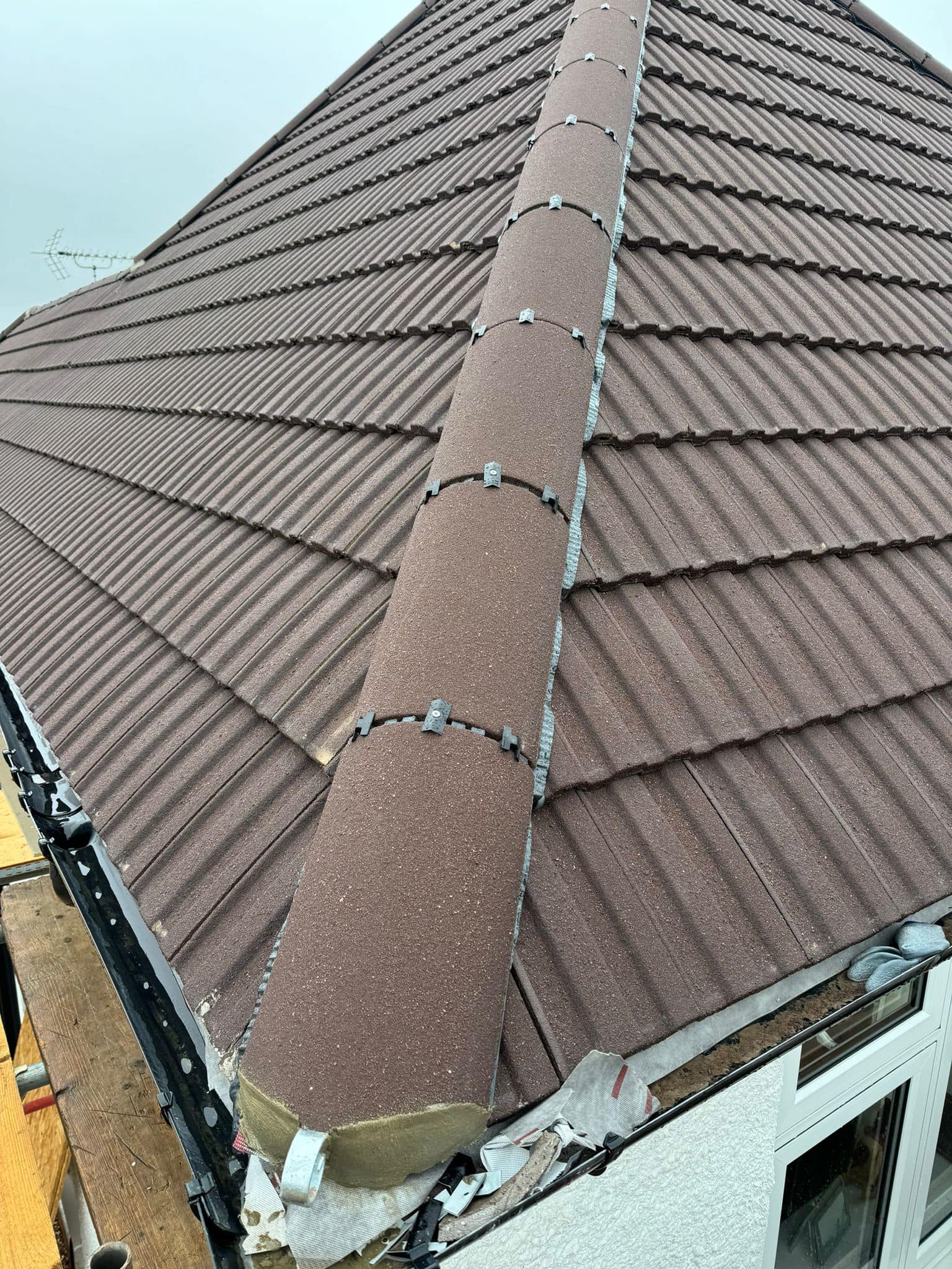 Moss removal in Wimbledon