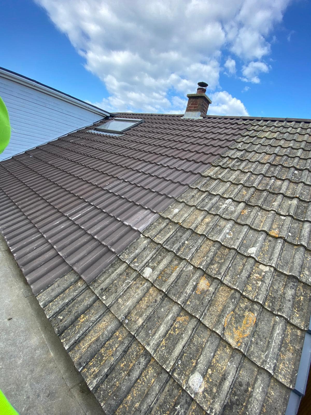 Moss removal in Wimbledon