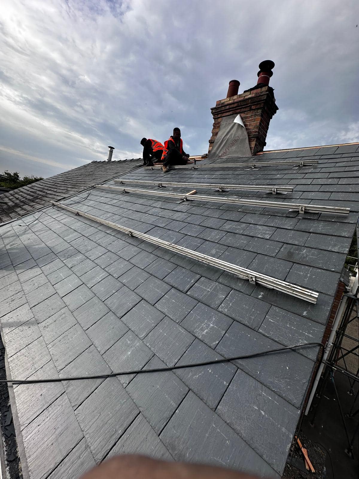 Moss removal in Wimbledon